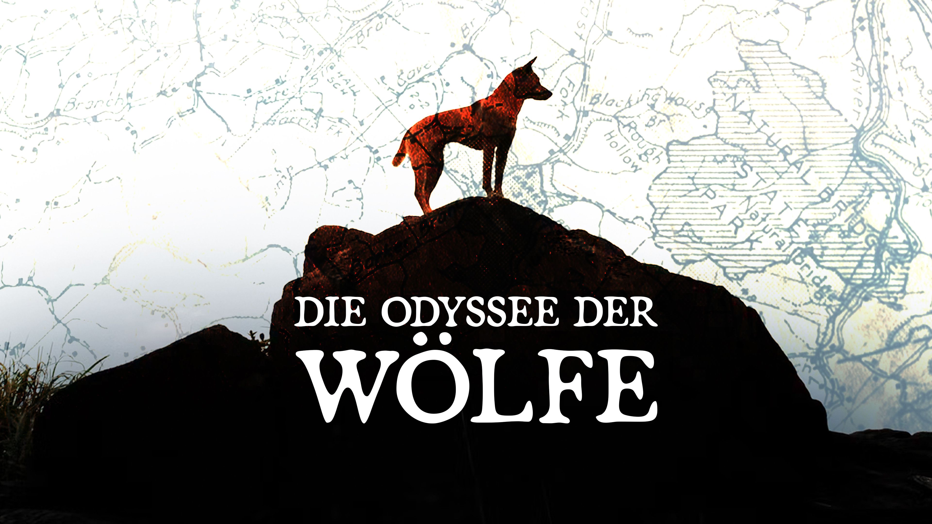 Die Odyssee der Wölfe