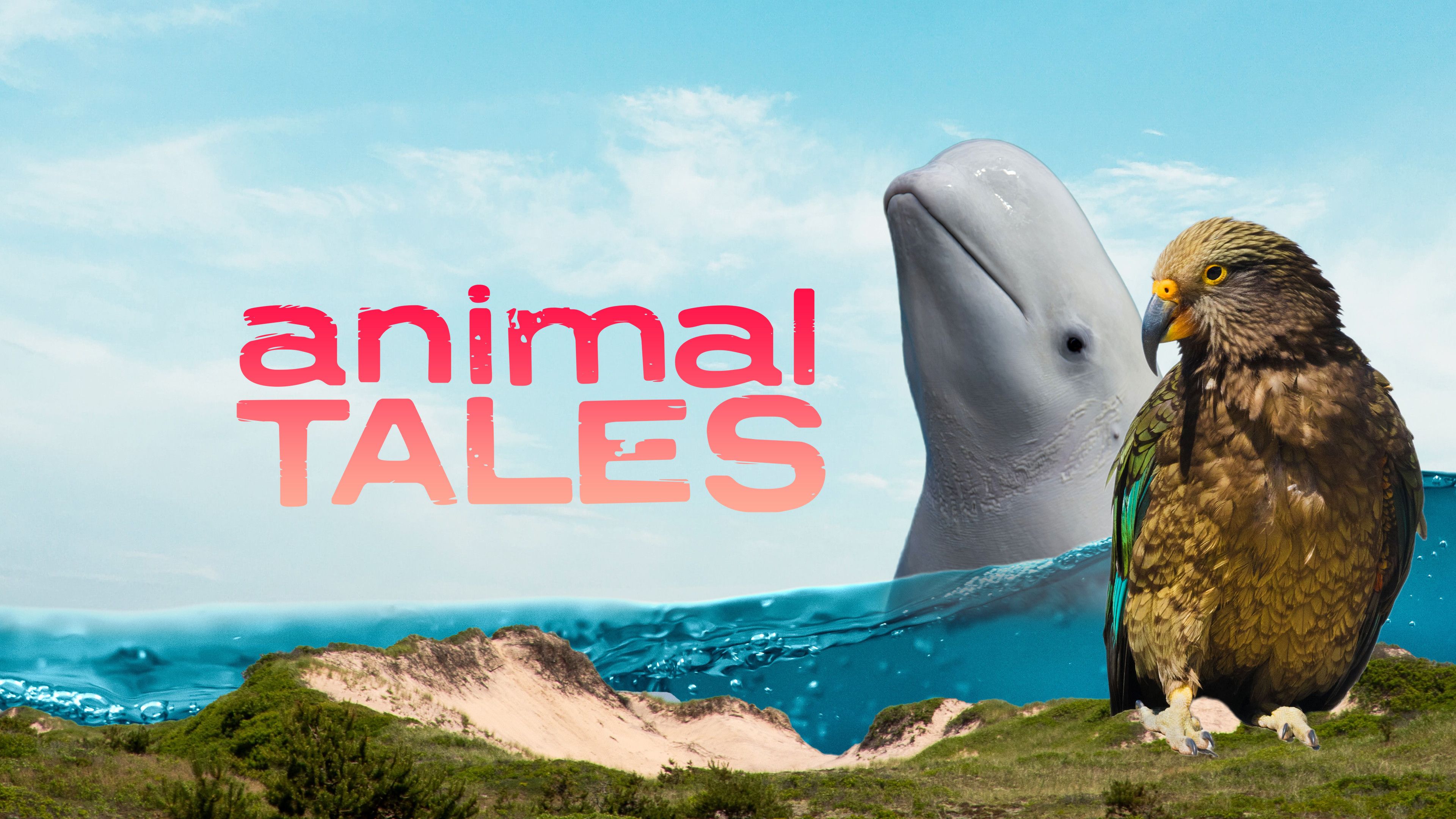 Animal Tales
