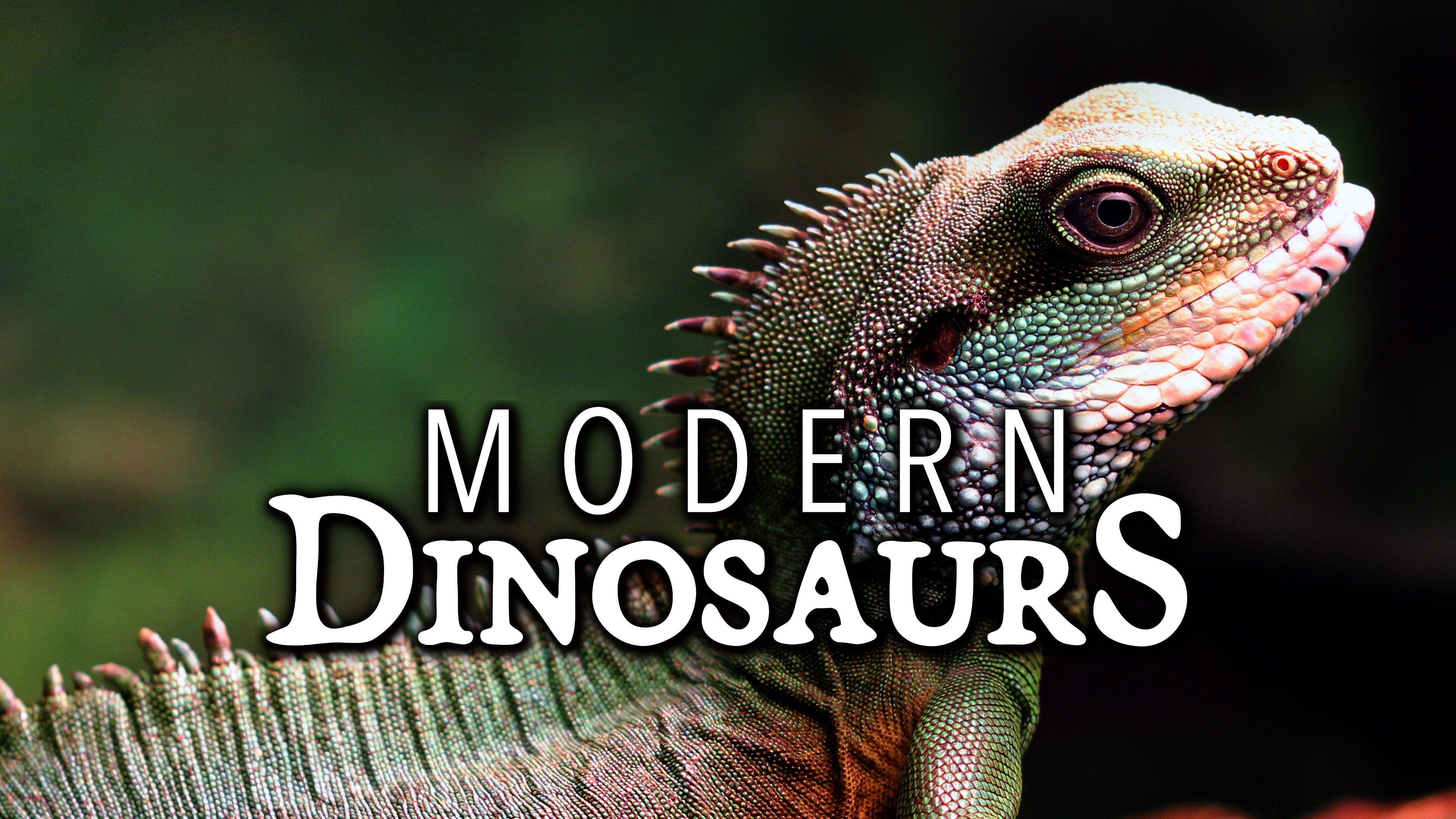 Modern Dinosaurs