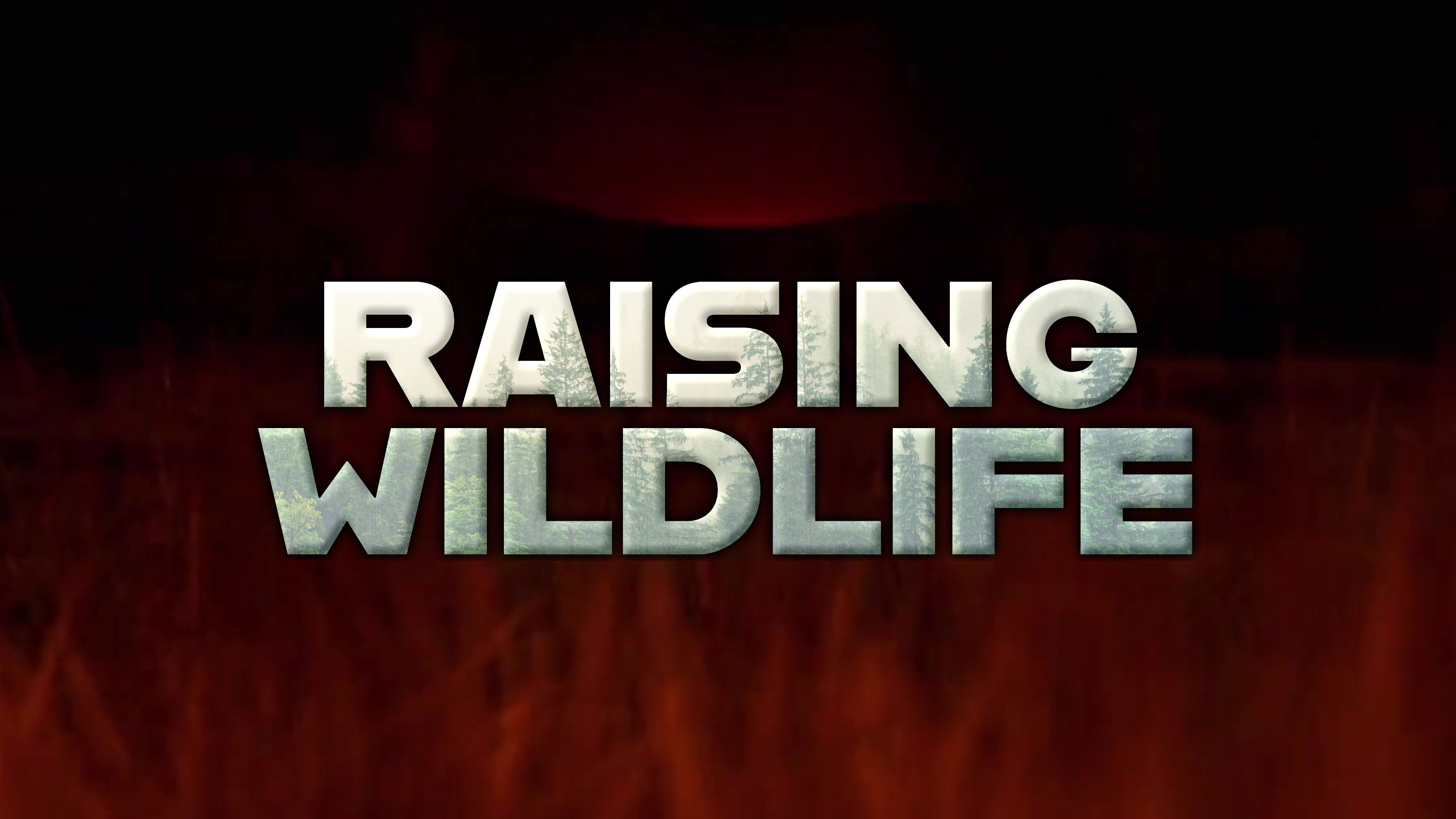 Raising Wildlife