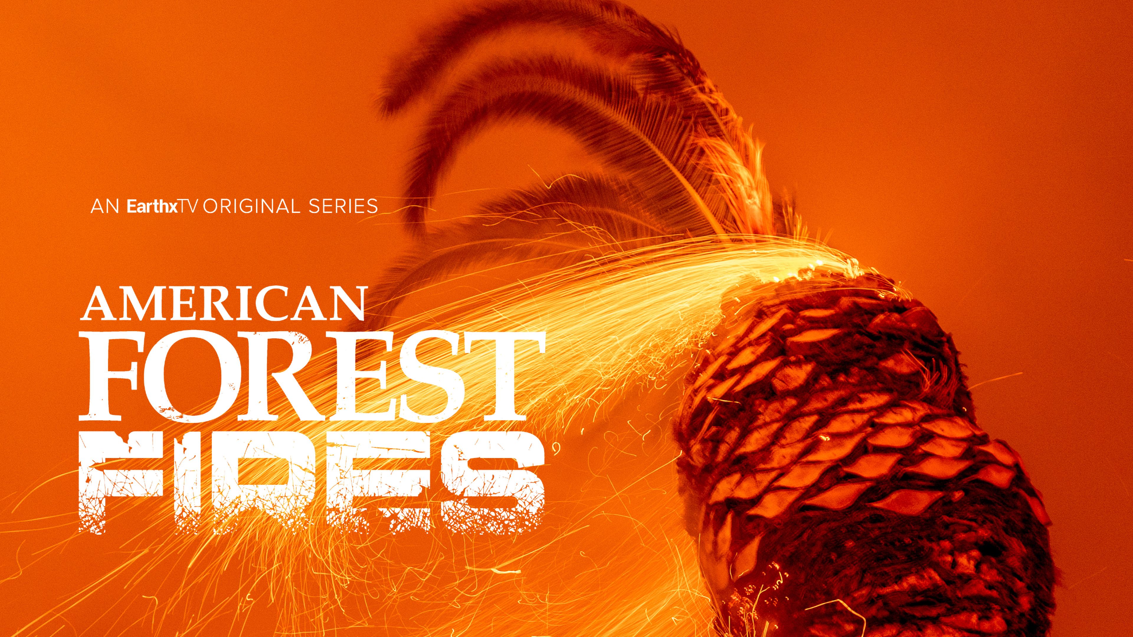 American Forest Fires