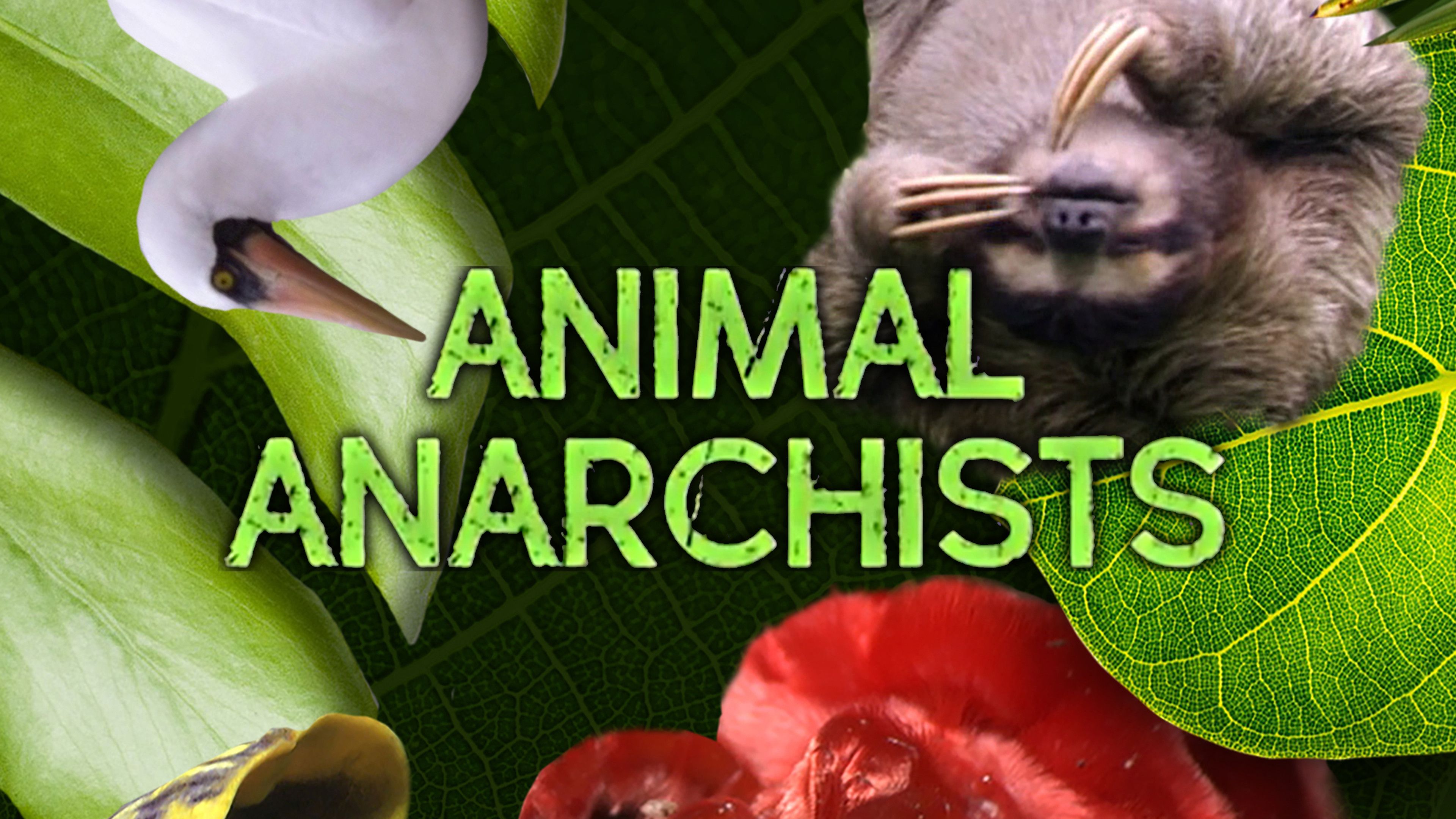 Animal Anarchists