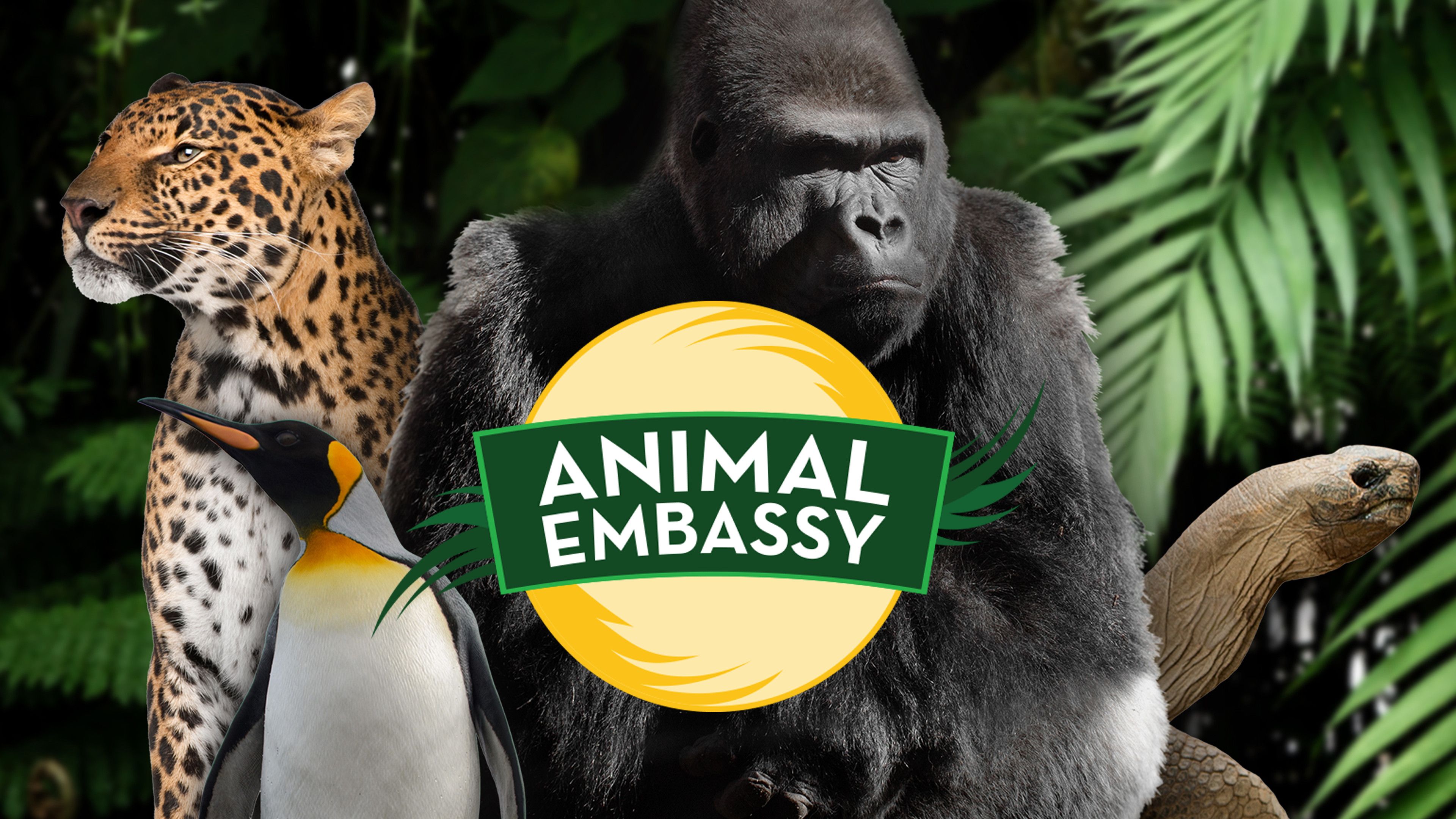 Animal Embassy