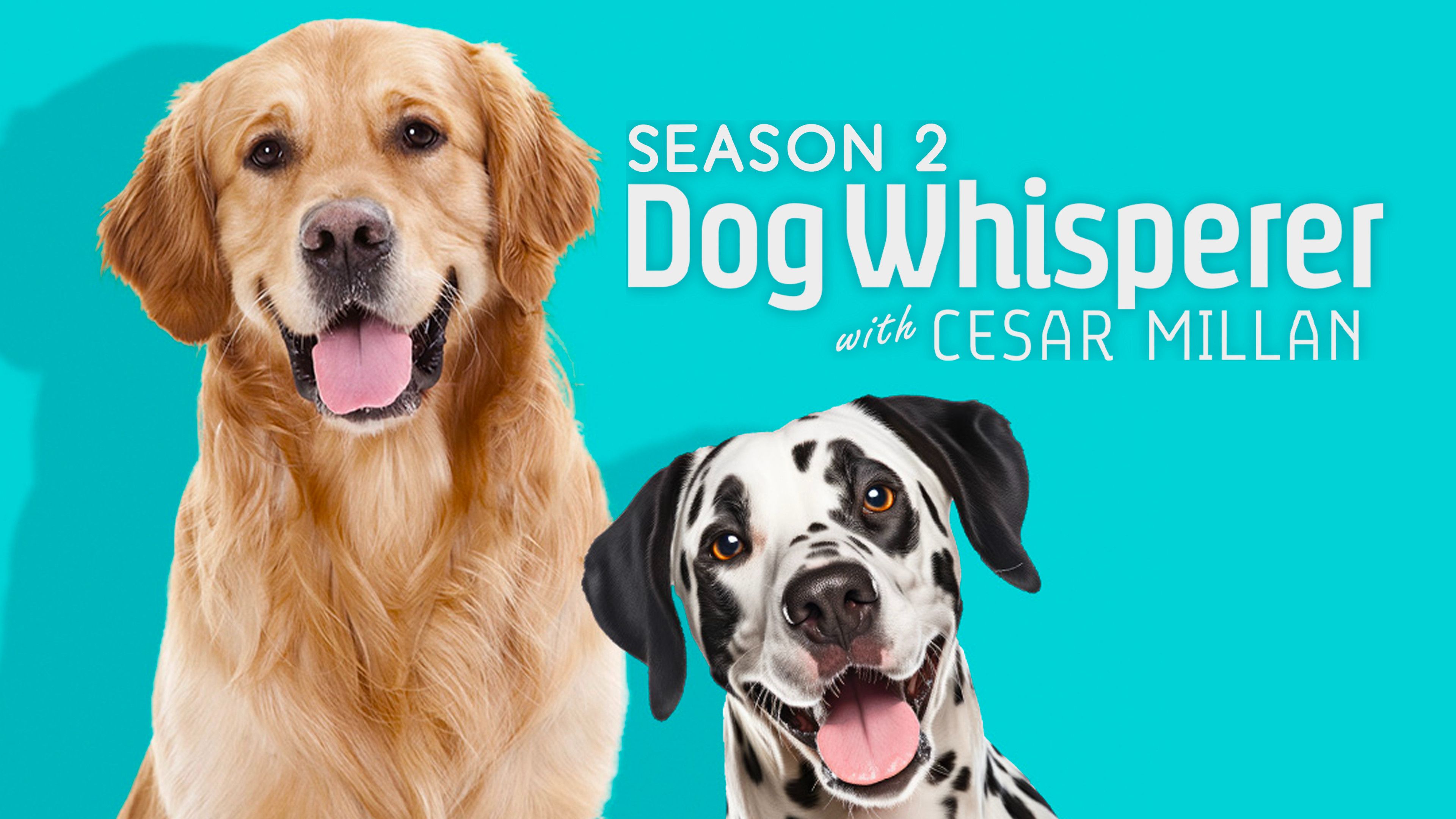 Dog Whisperer with Cesar Millan (Season 2)