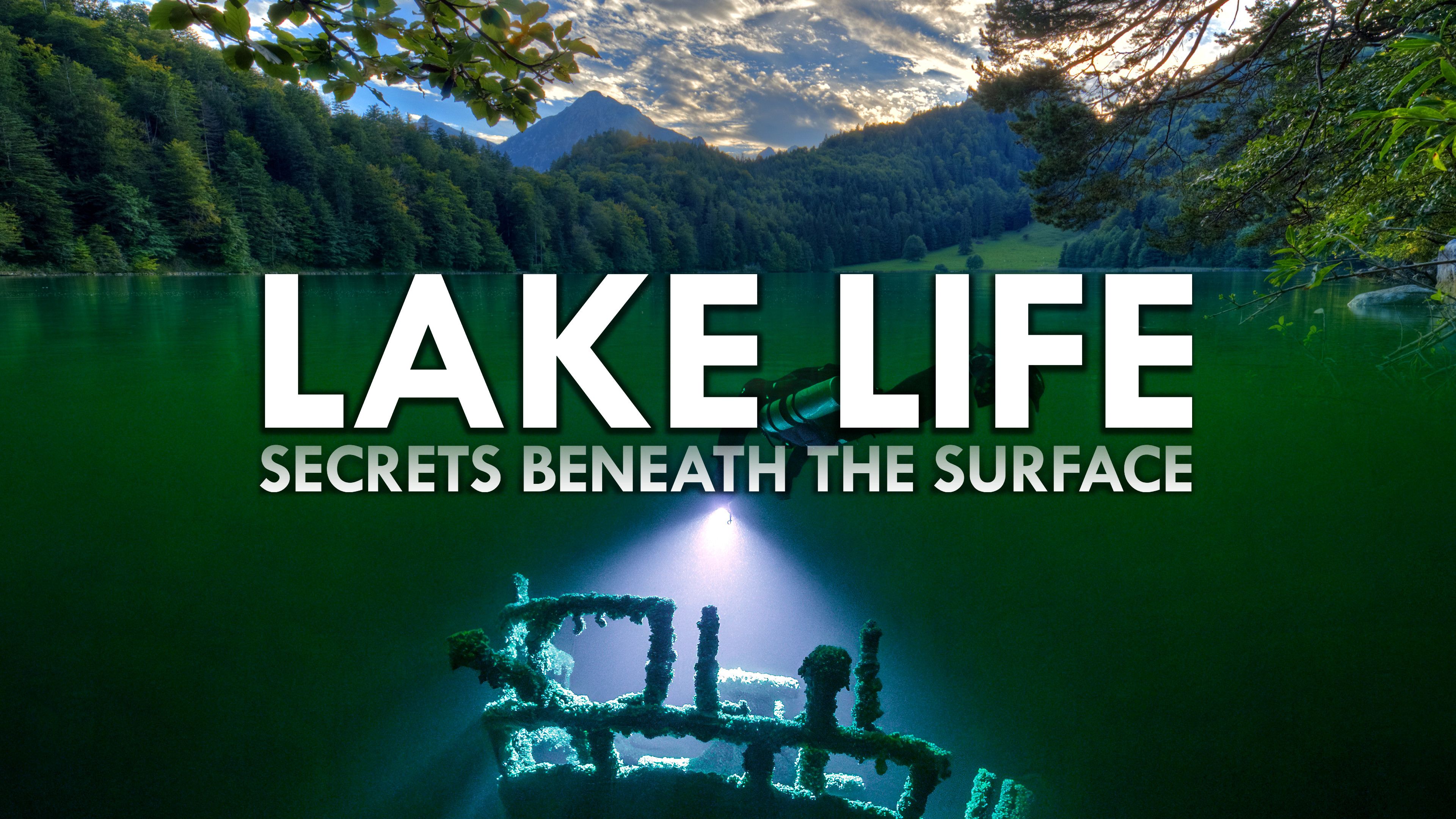 Lake Life: Secrets Beneath the Surface