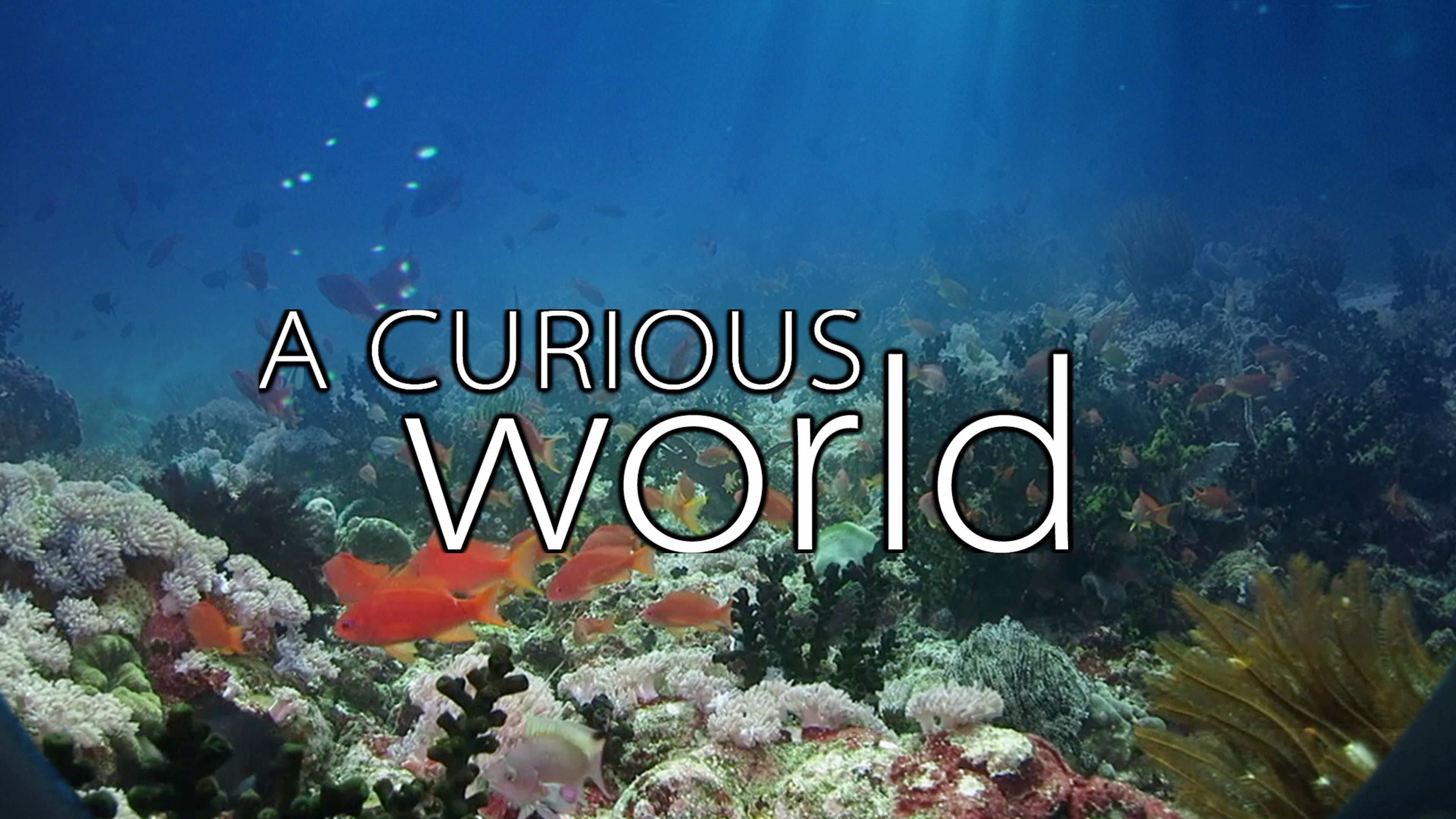 Underwater Worlds