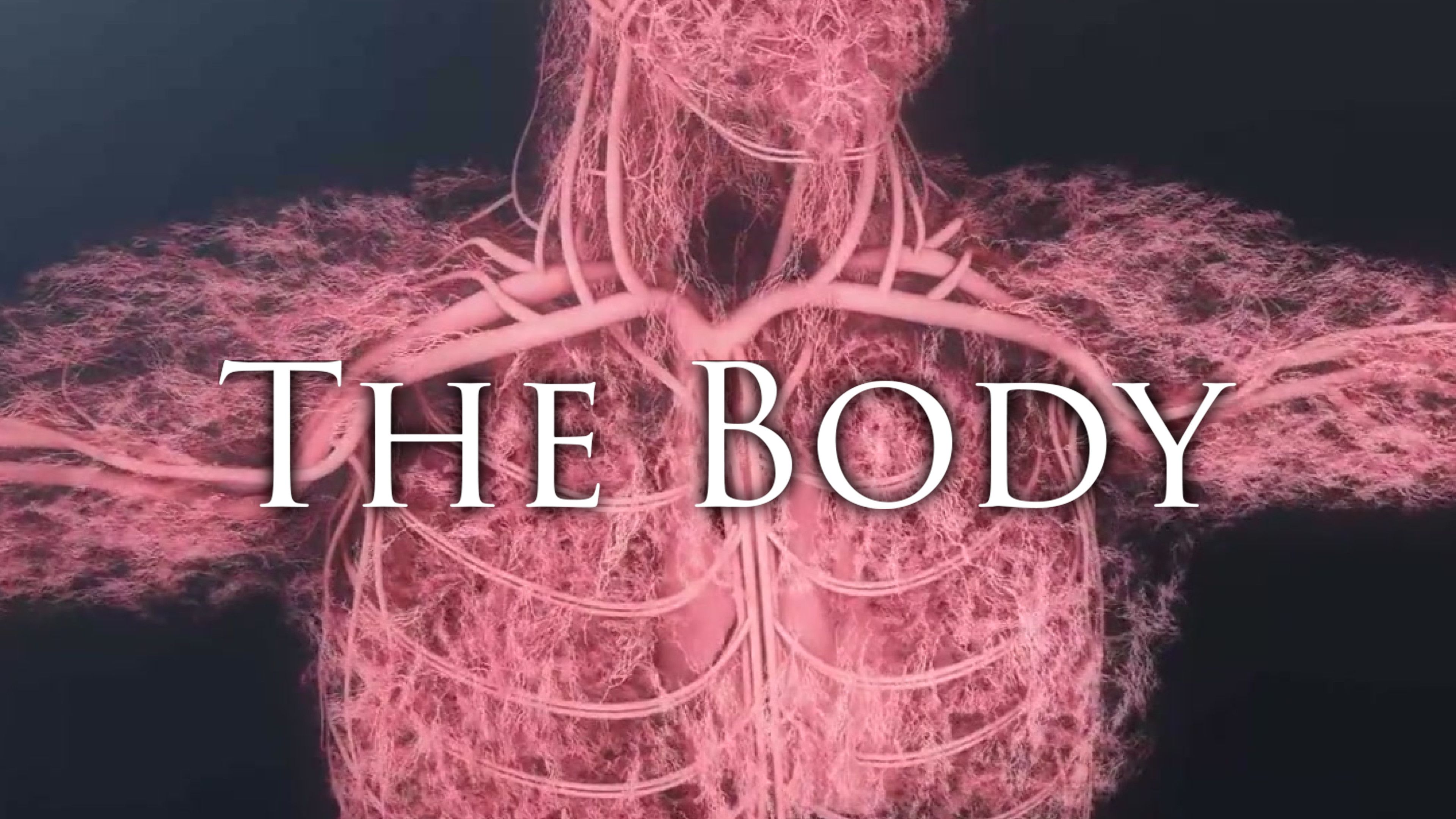 The Networks Within Our Bodies