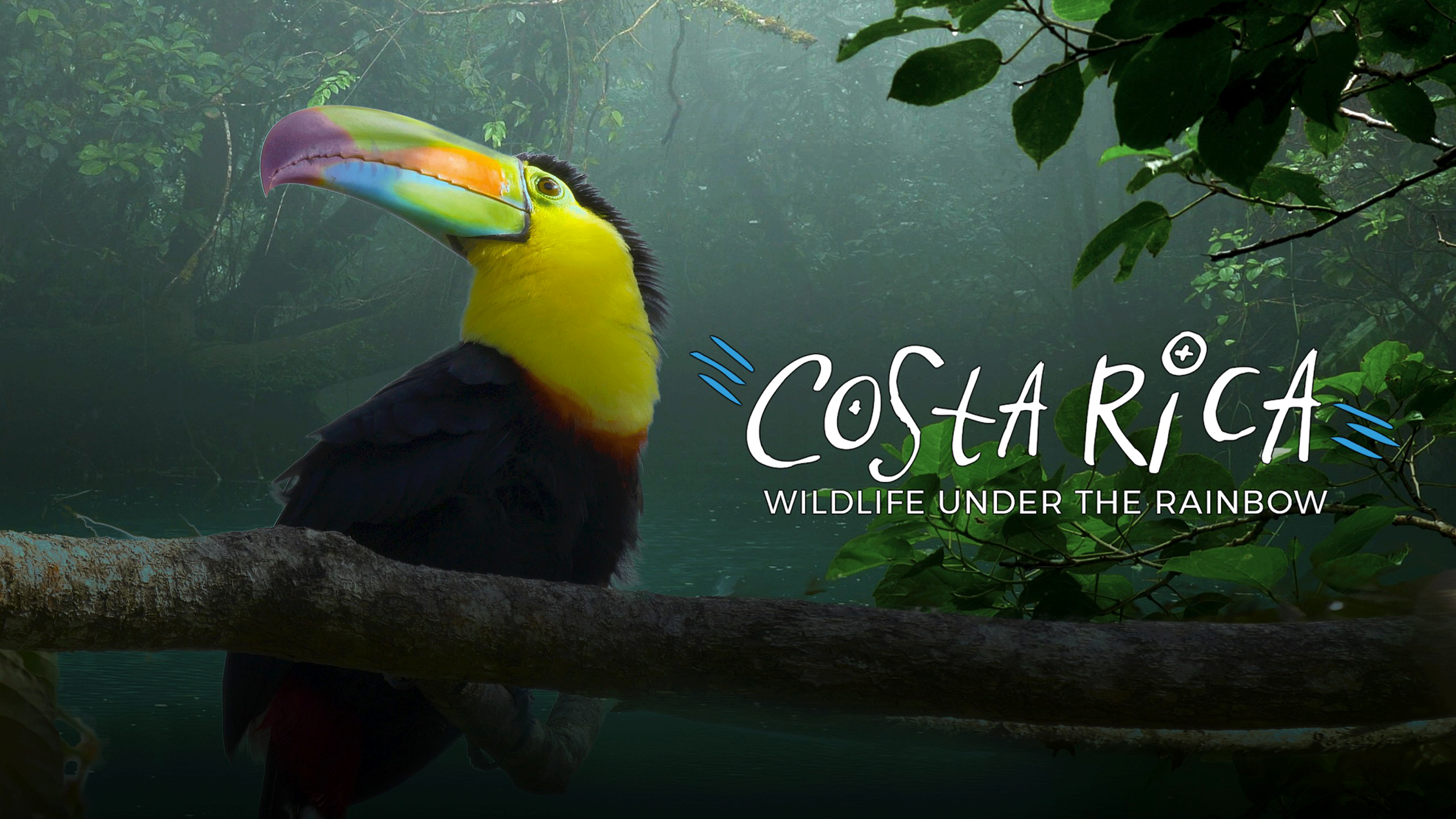 Costa Rica: Wildlife under the Rainbow