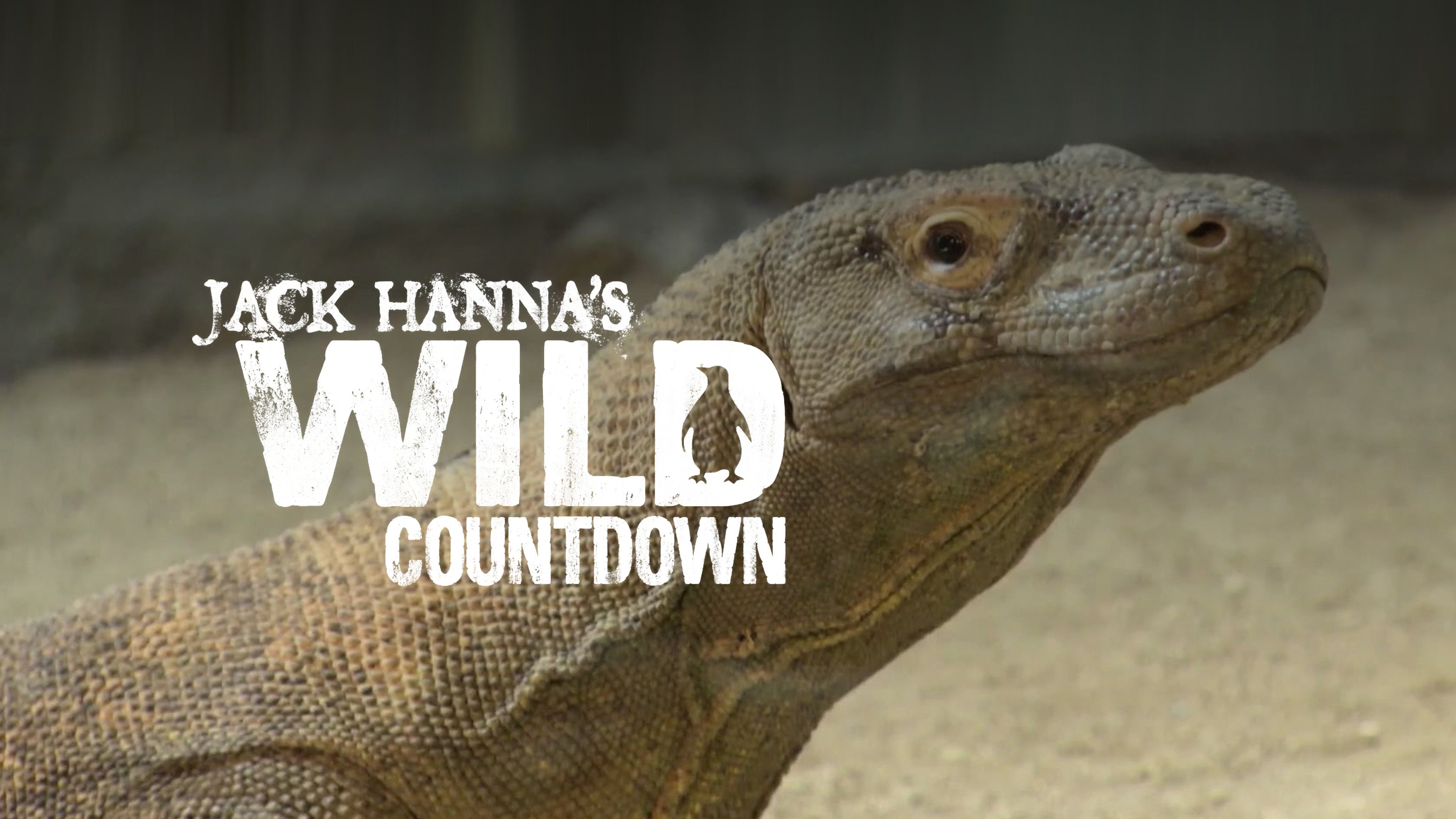 Wickedly Wild Countdown