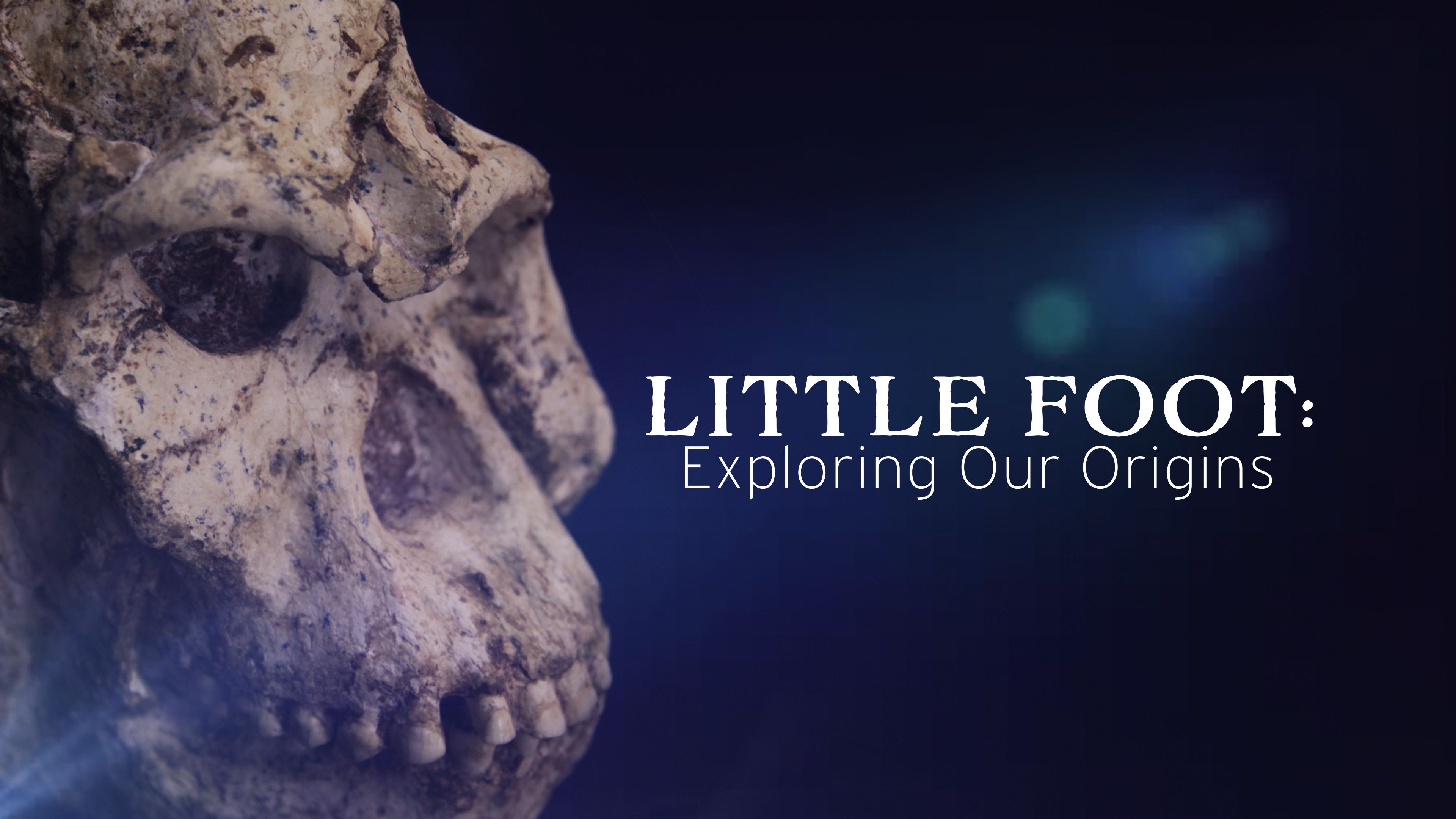 Little Foot: Exploring Our Origins