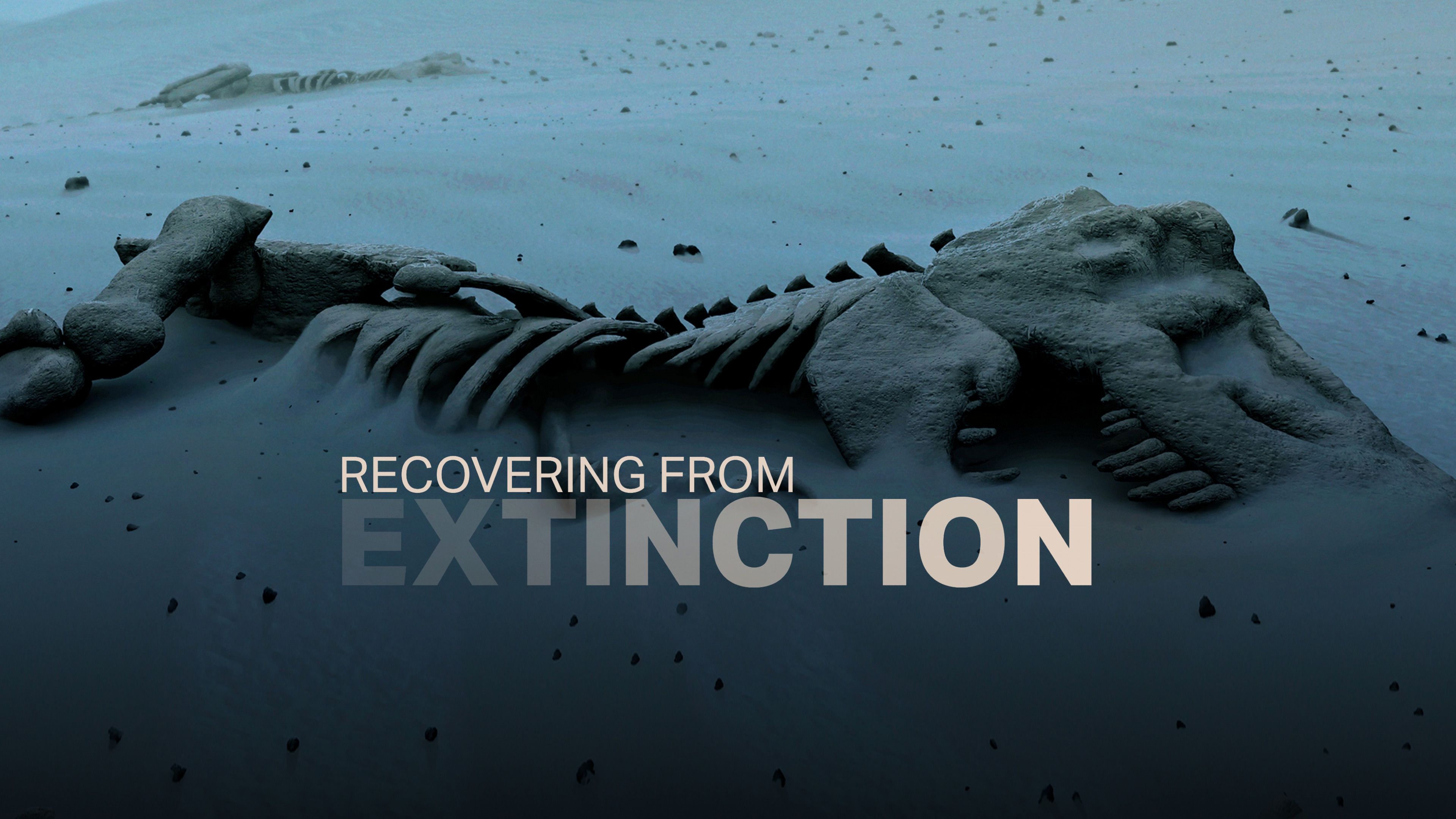 Recovering From Extinction