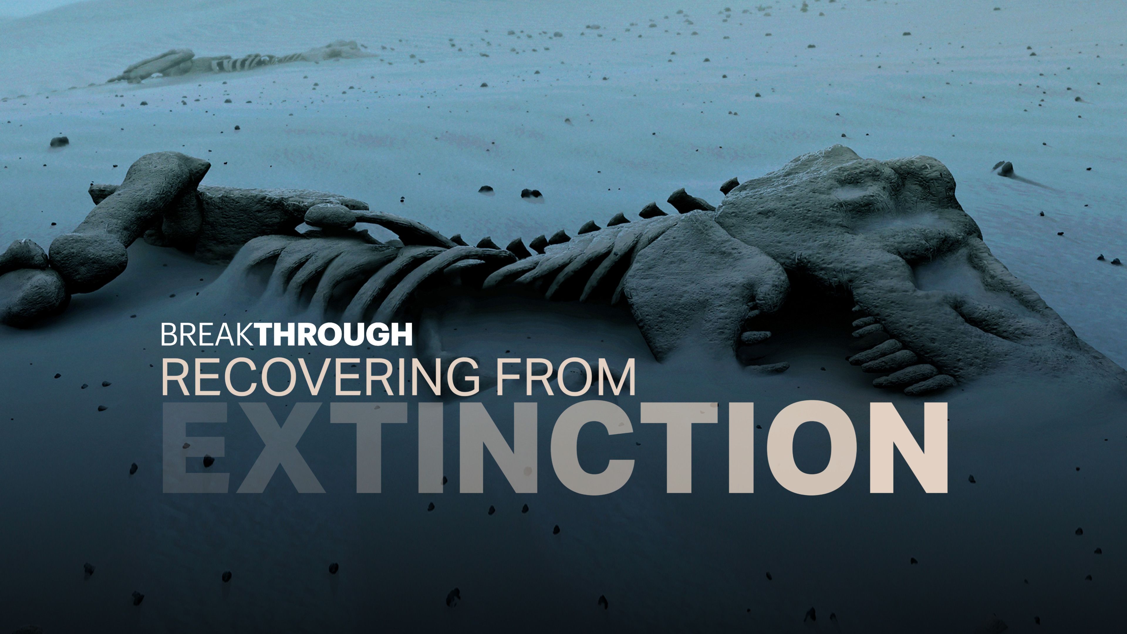 Recovering From Extinction