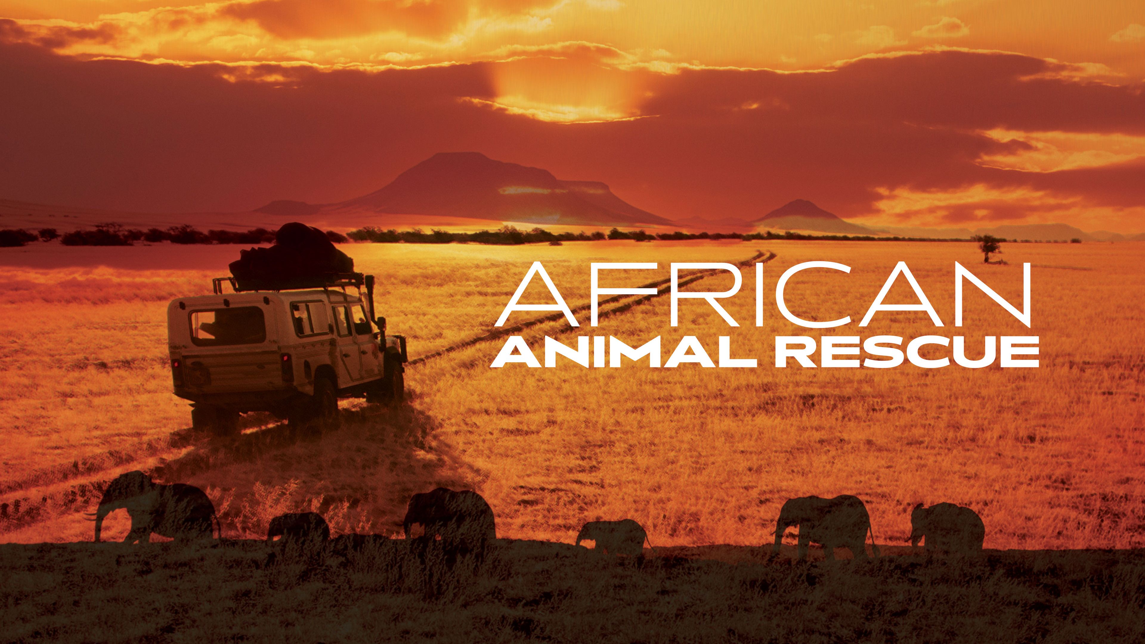 African Animal Rescue