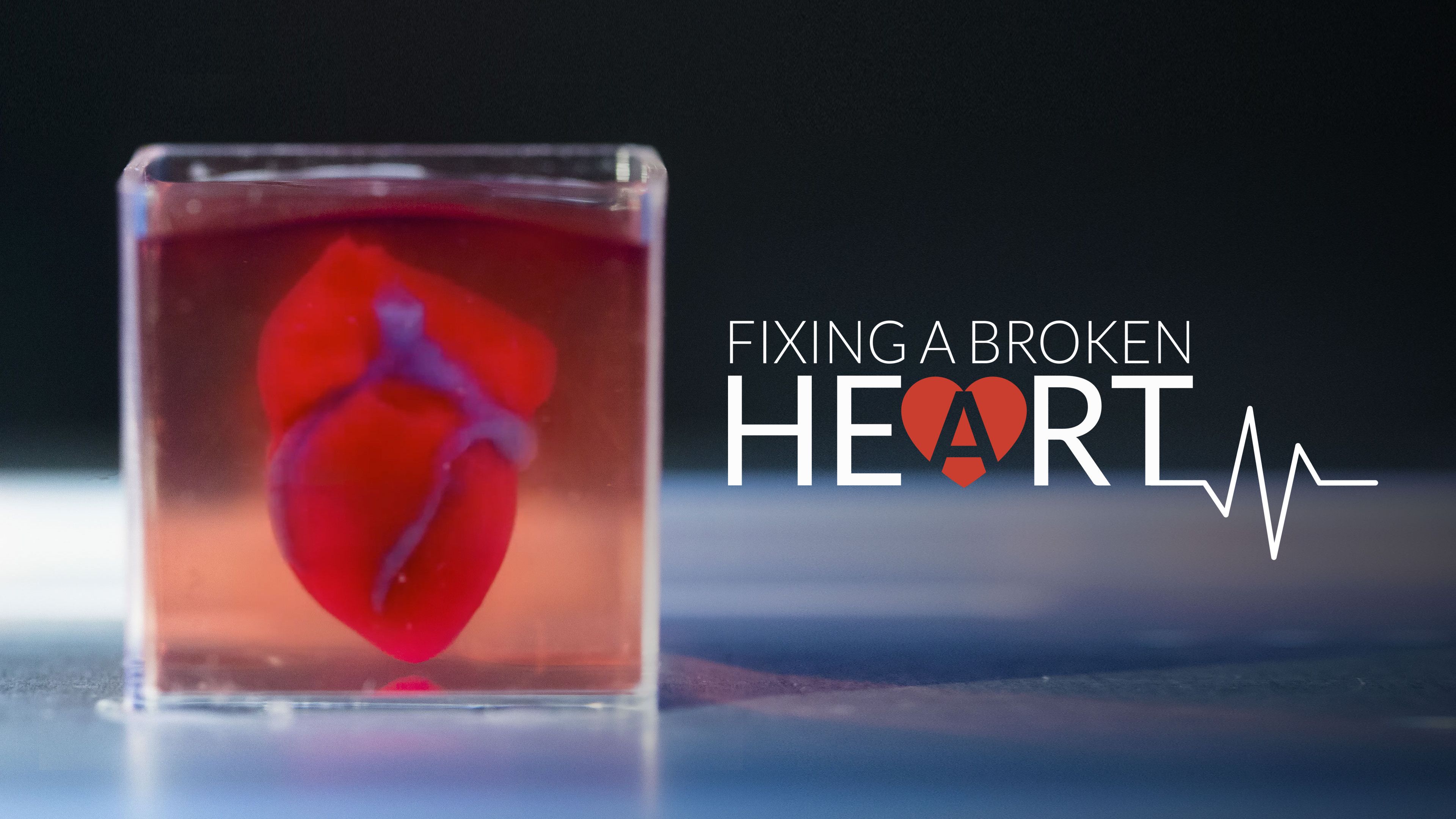 Fixing A Broken Heart