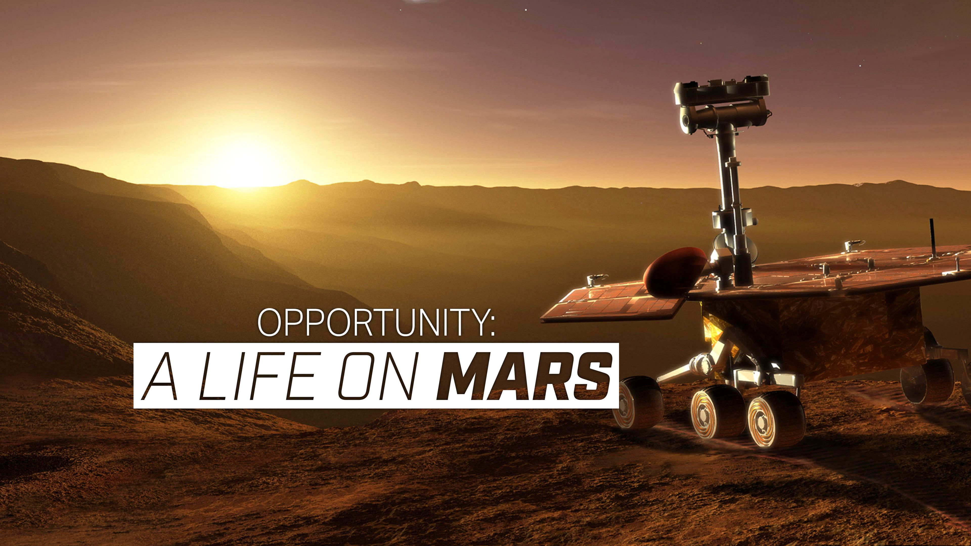 Opportunity: A Life on Mars