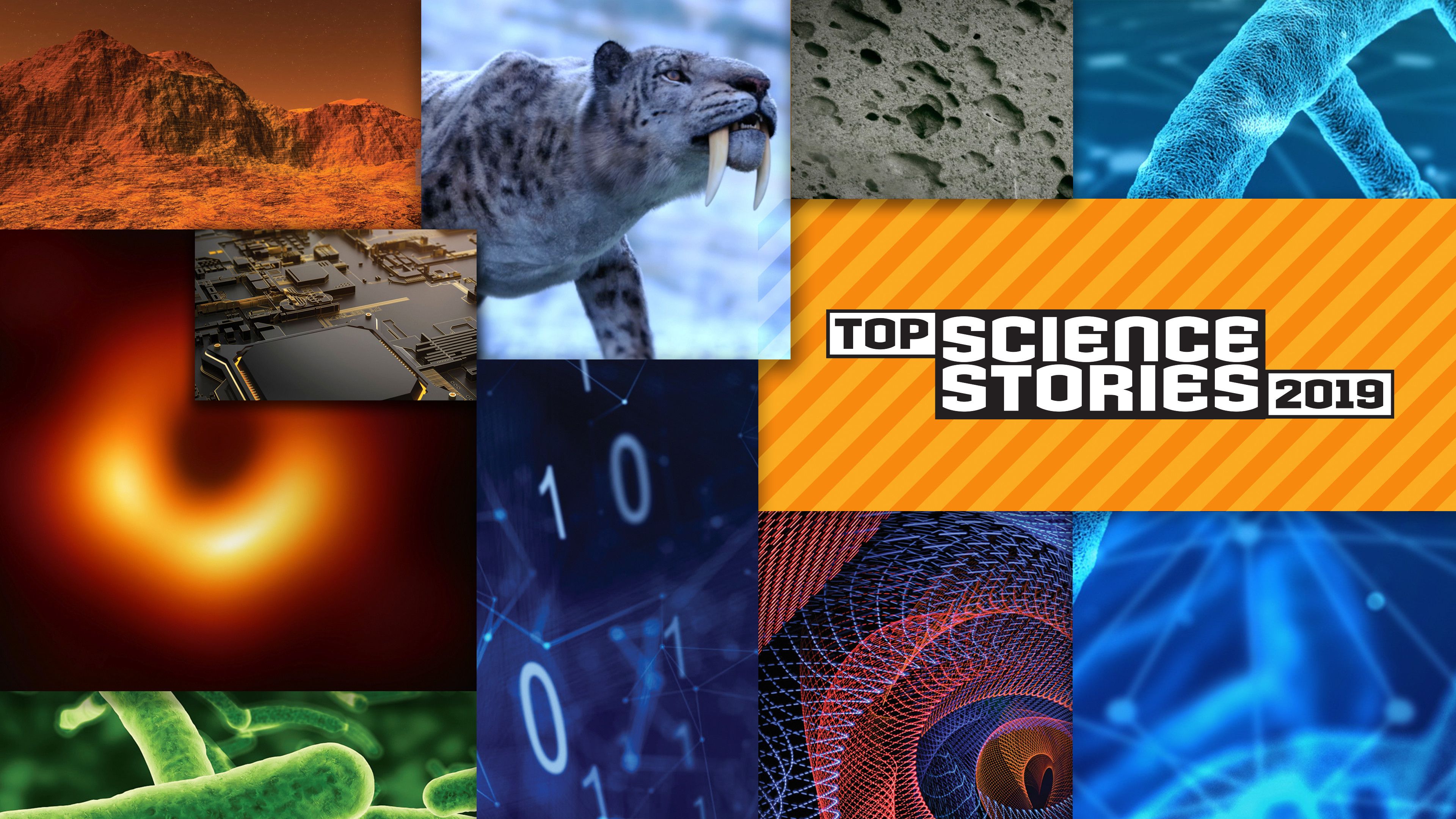 Top Science Stories of 2019