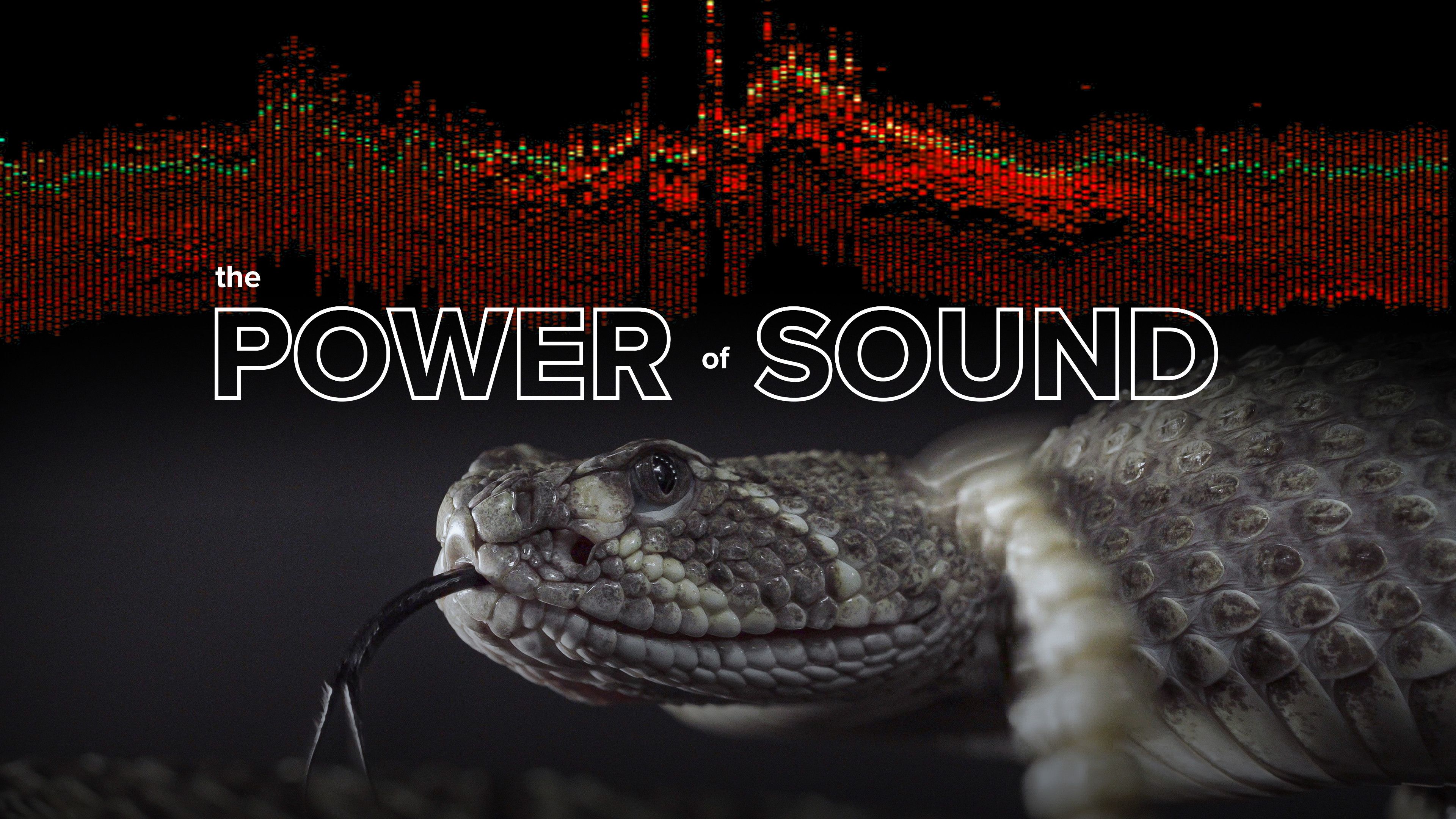 The Power of Sound