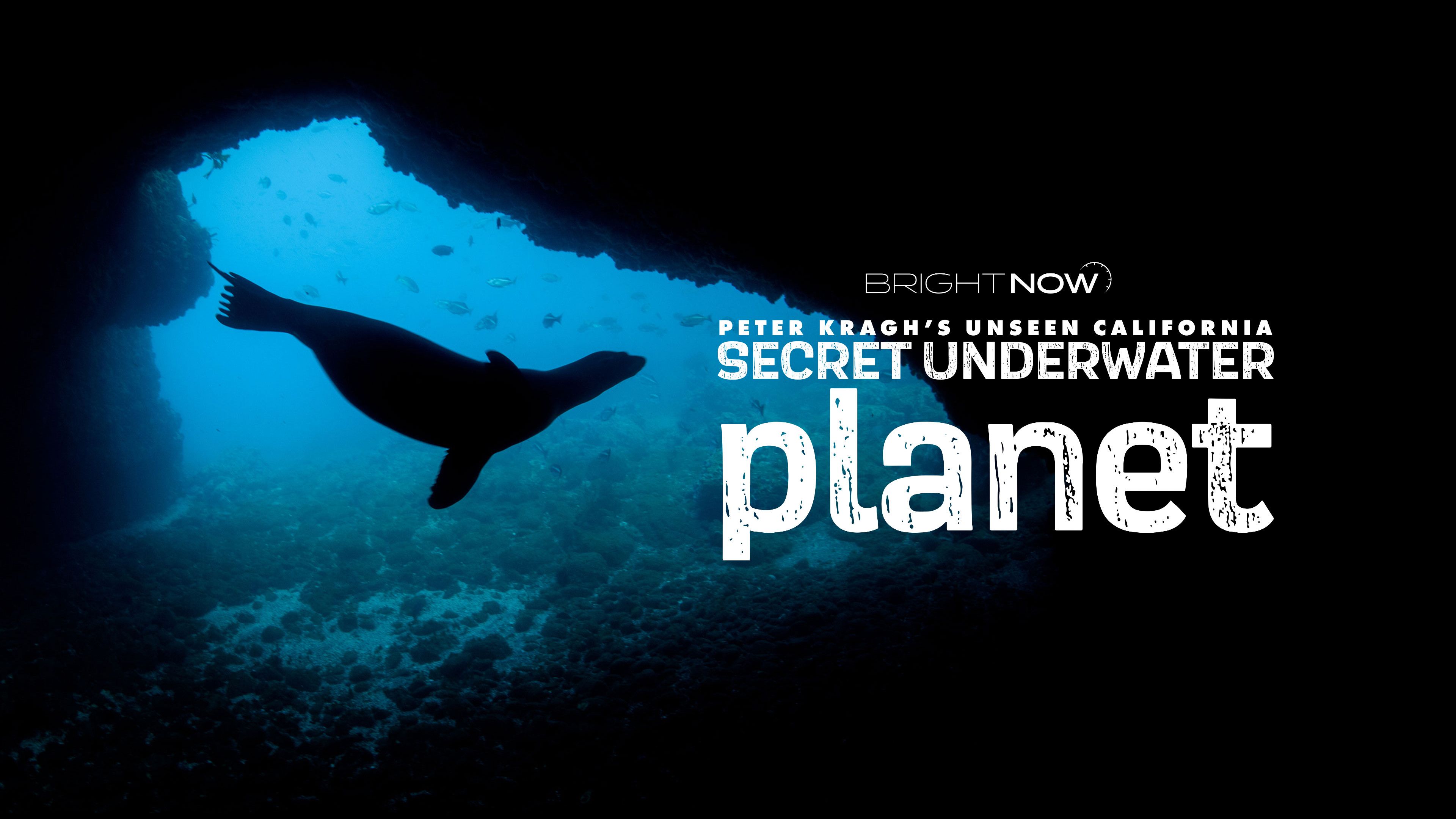 Secret Underwater Planet