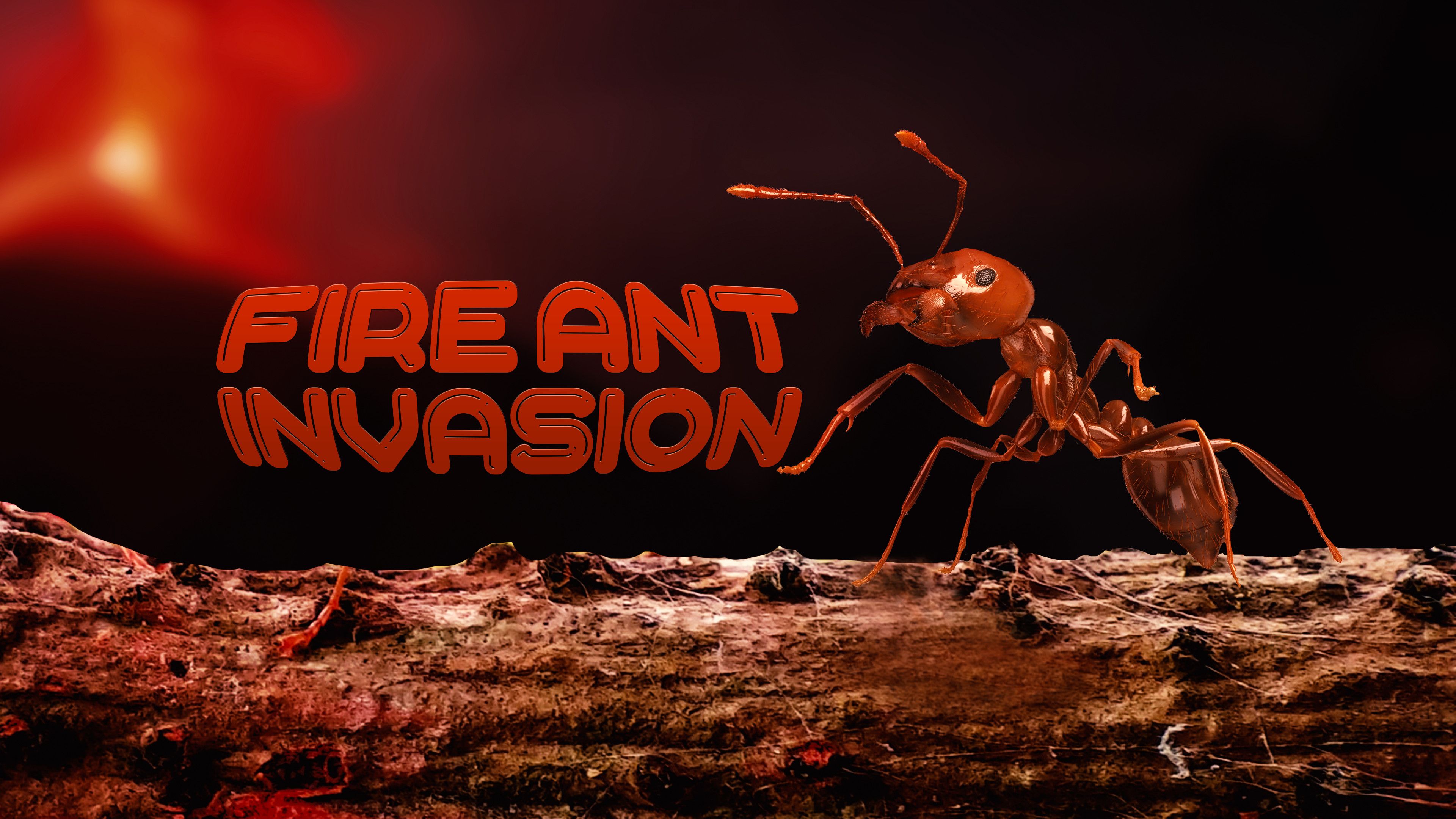 Fire Ant Invasion
