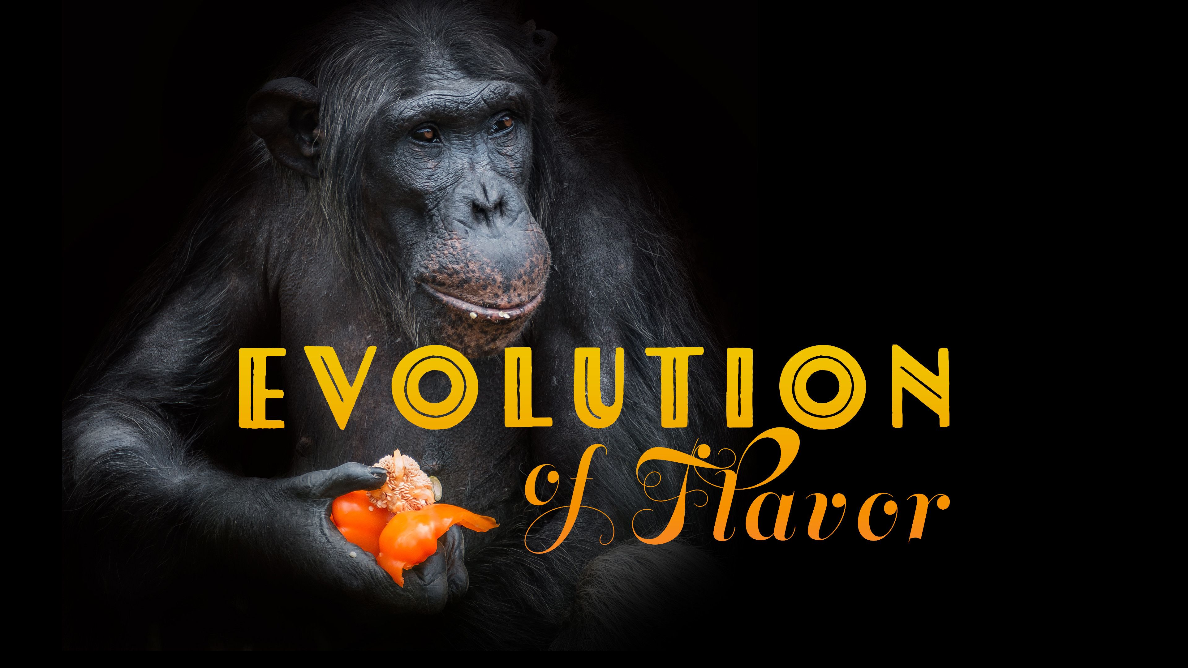Evolution of Flavor