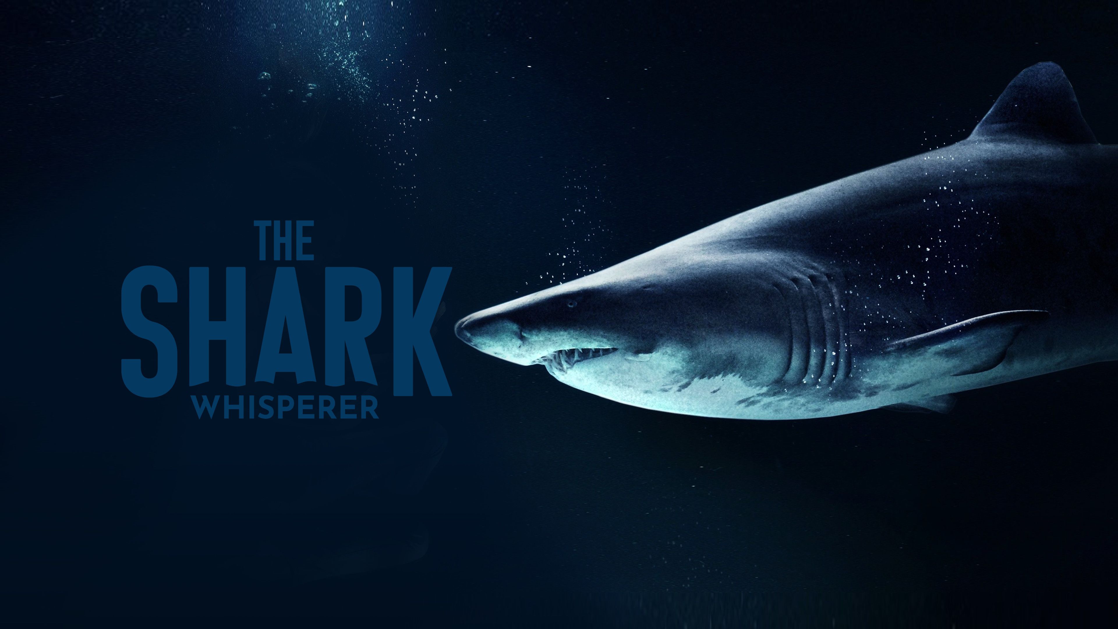 The Shark Whisperer