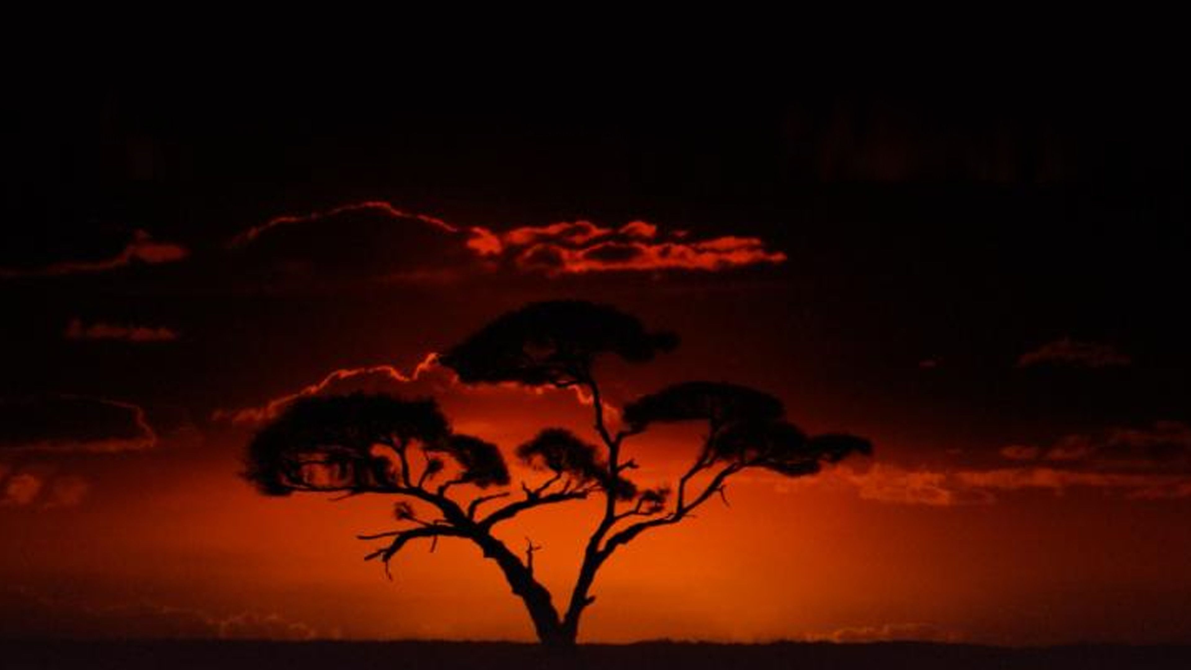 Lessons Learned: Time In Africa