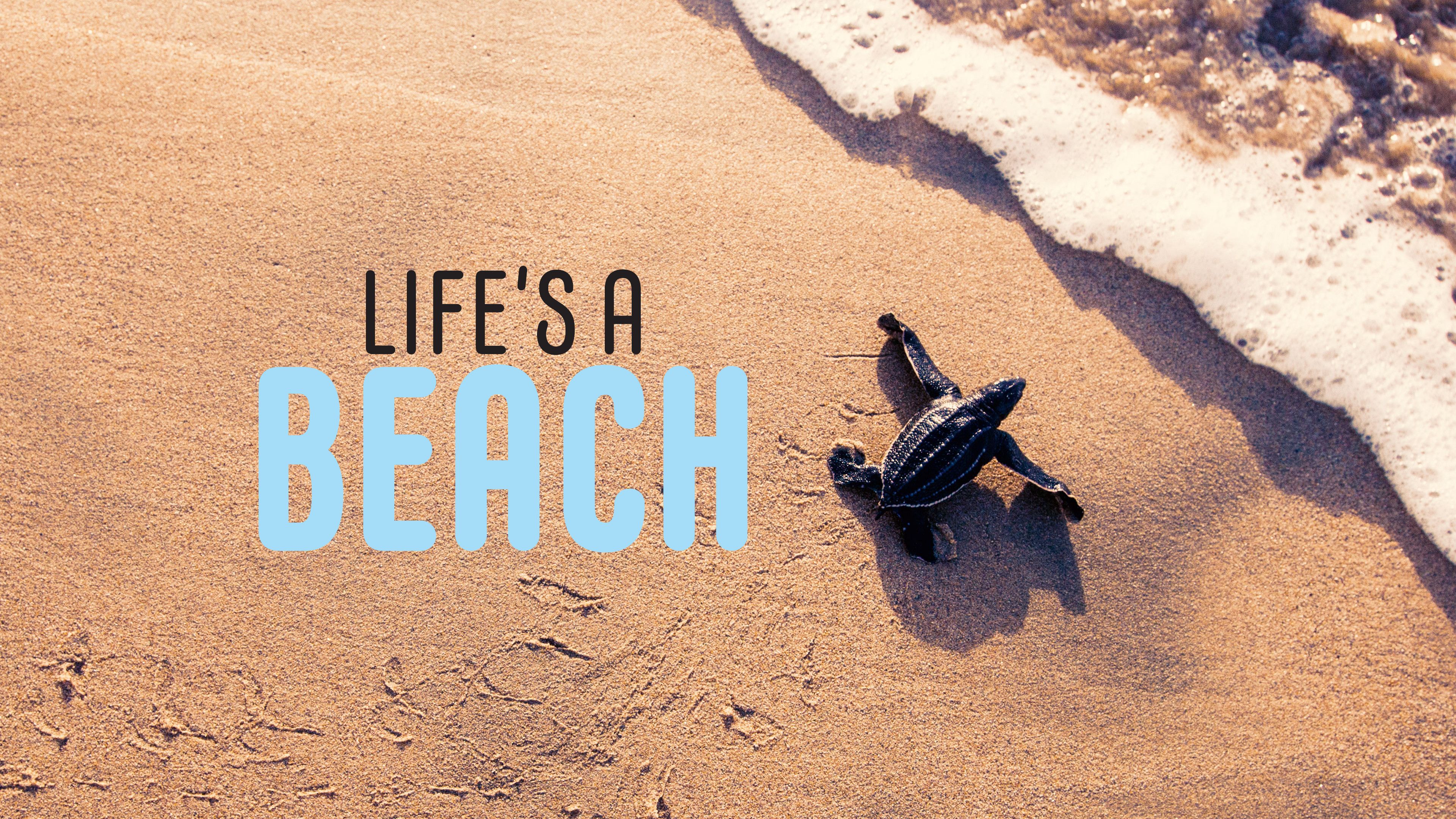 Life's A Beach Life's A Beach