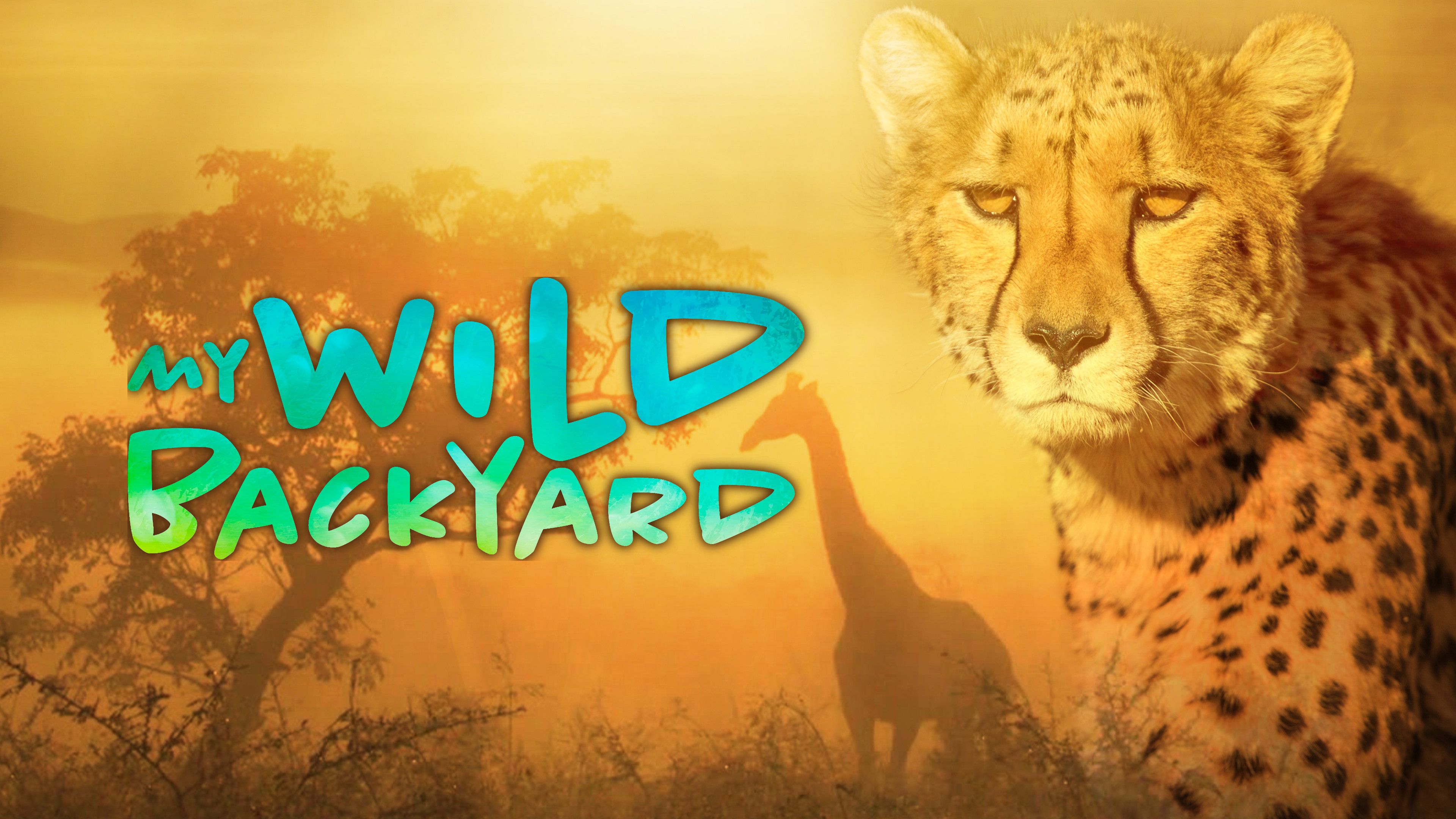 Manyoni Reserve