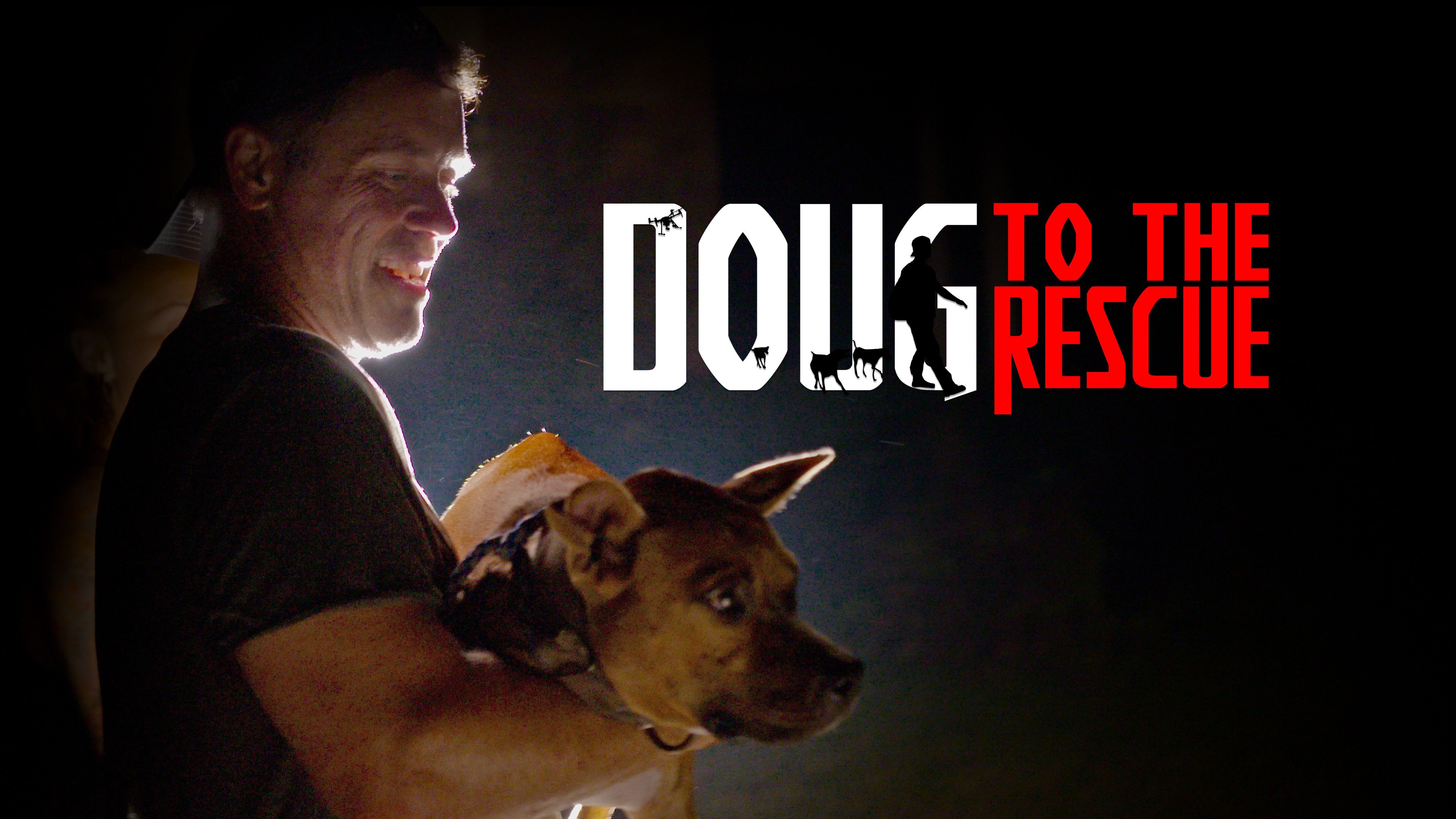 Lost Dogs of Louisiana