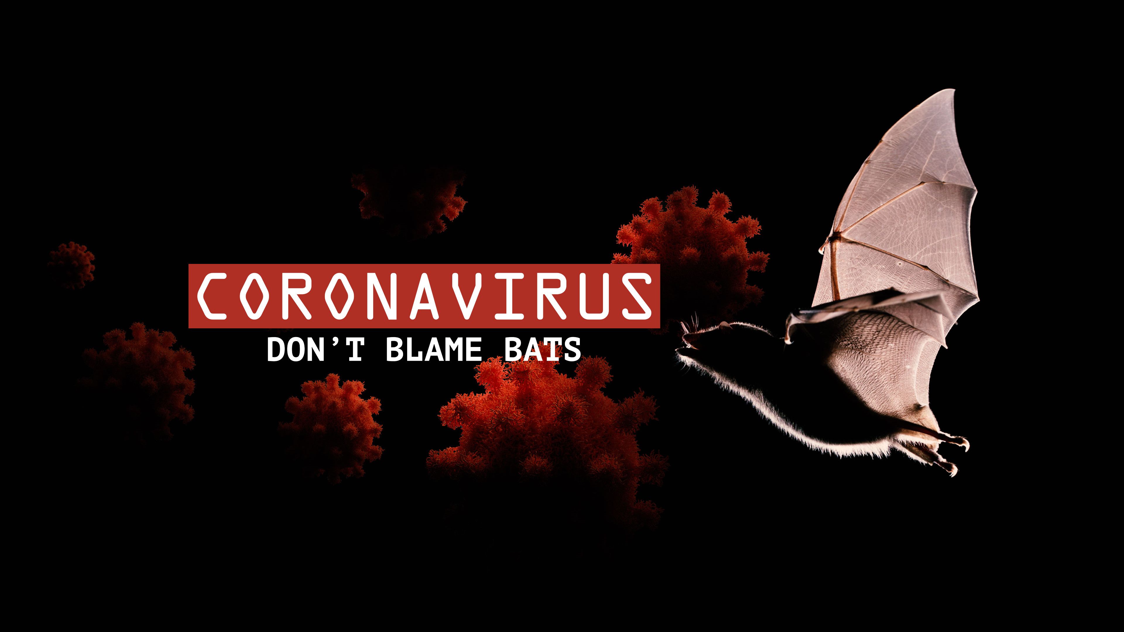 Coronavirus: Don't Blame Bats