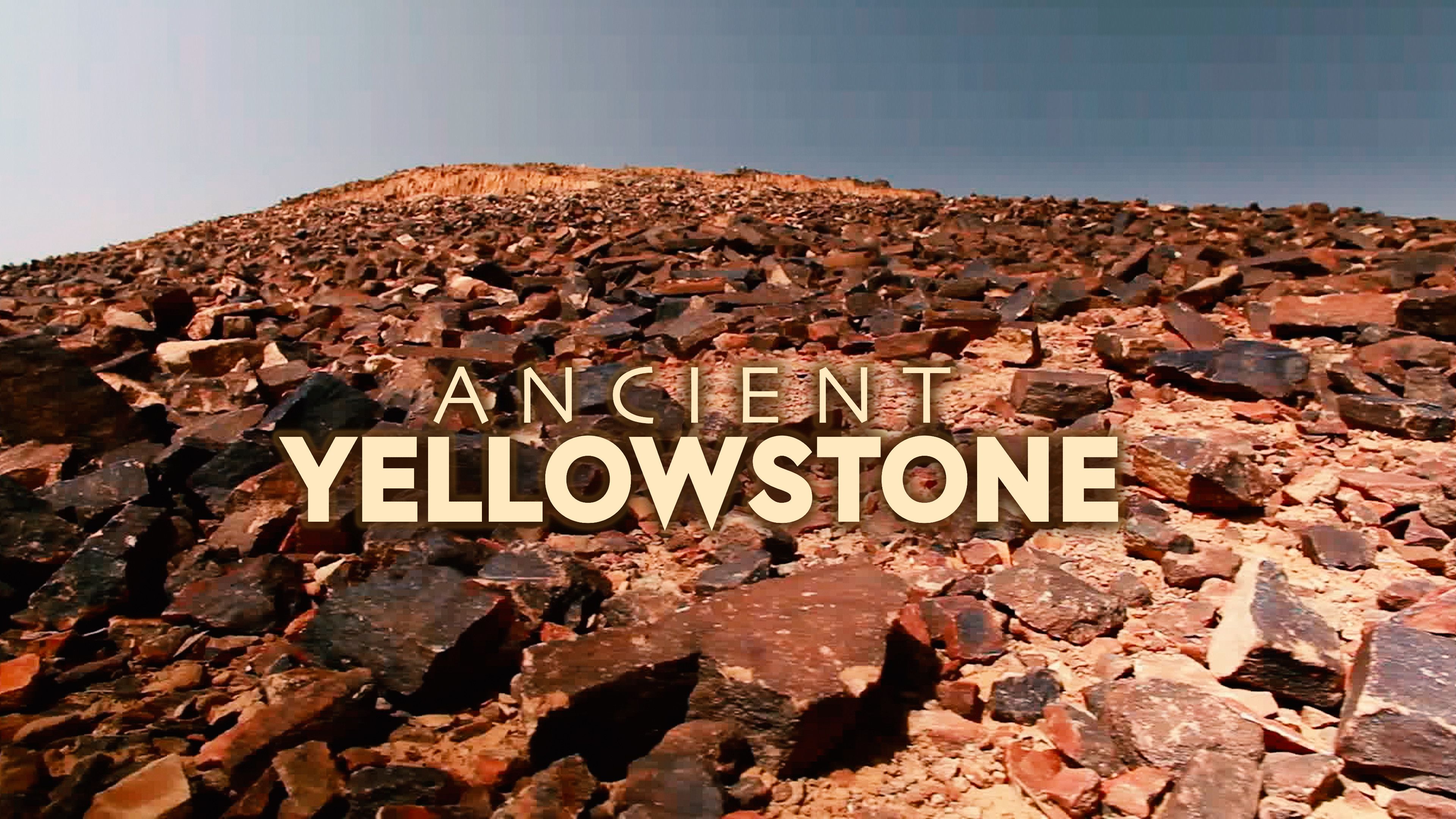 The Petrified Forest