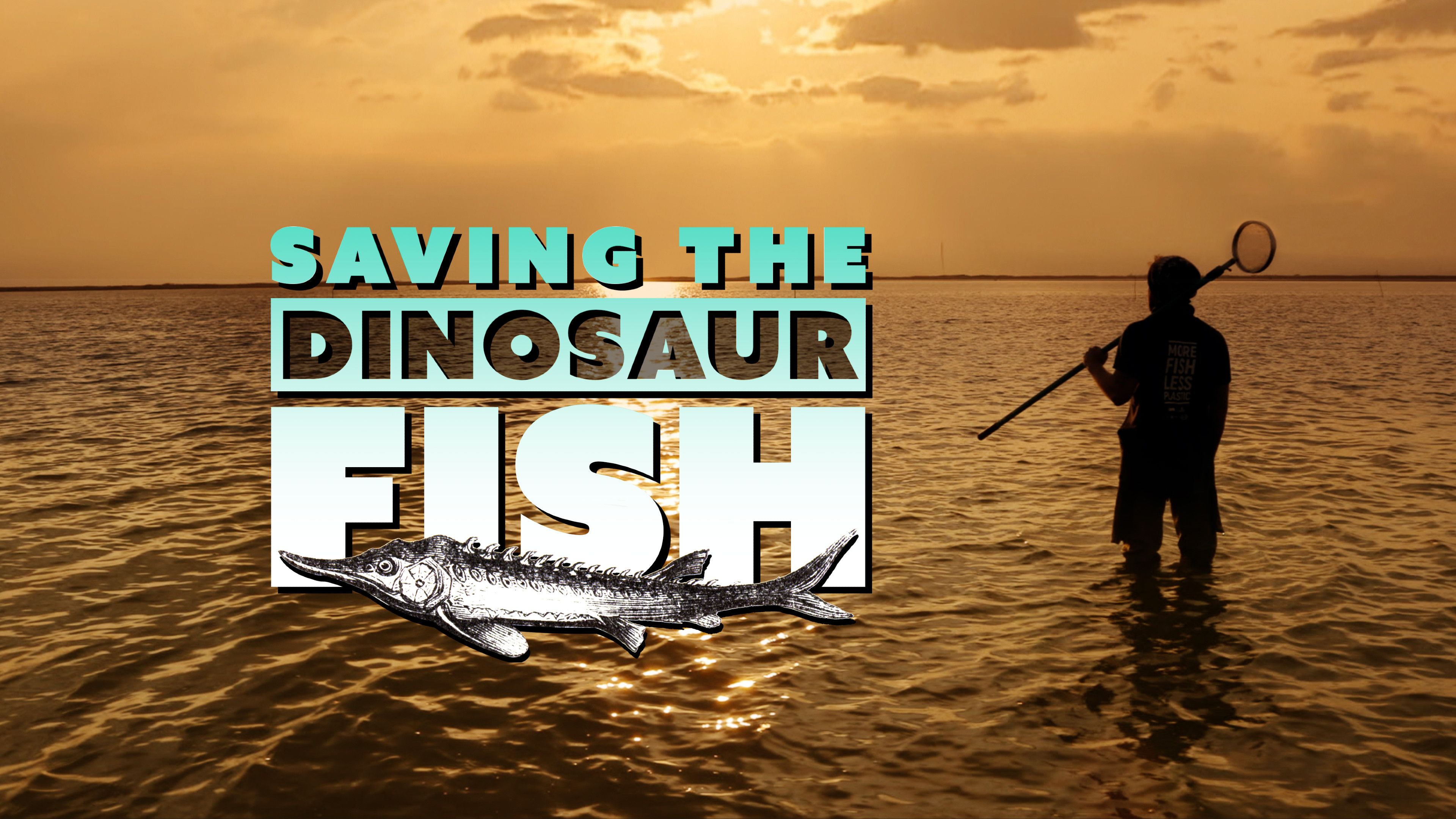 Saving the Dinosaur Fish