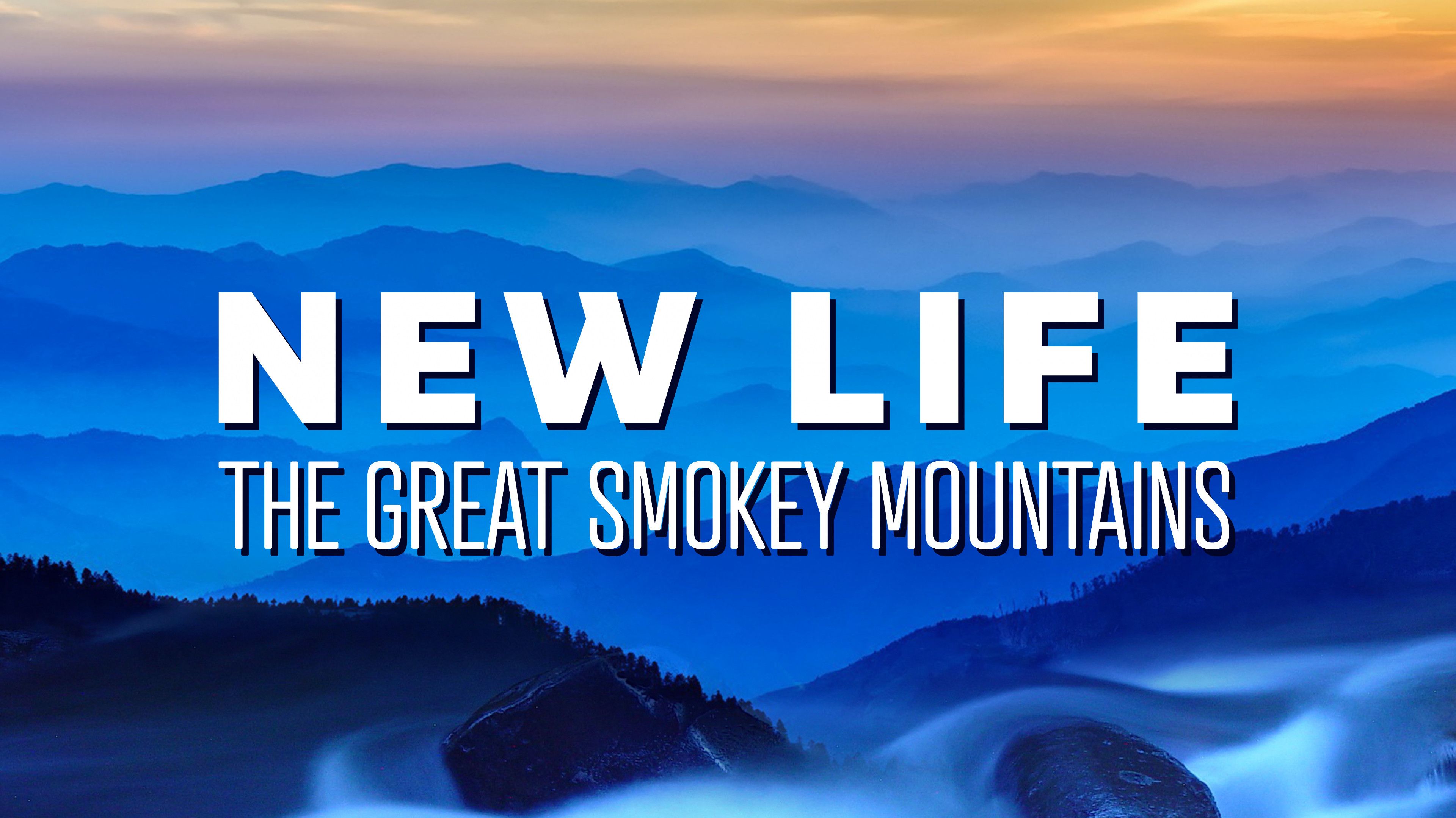 New Life: The Great Smoky Mountains
