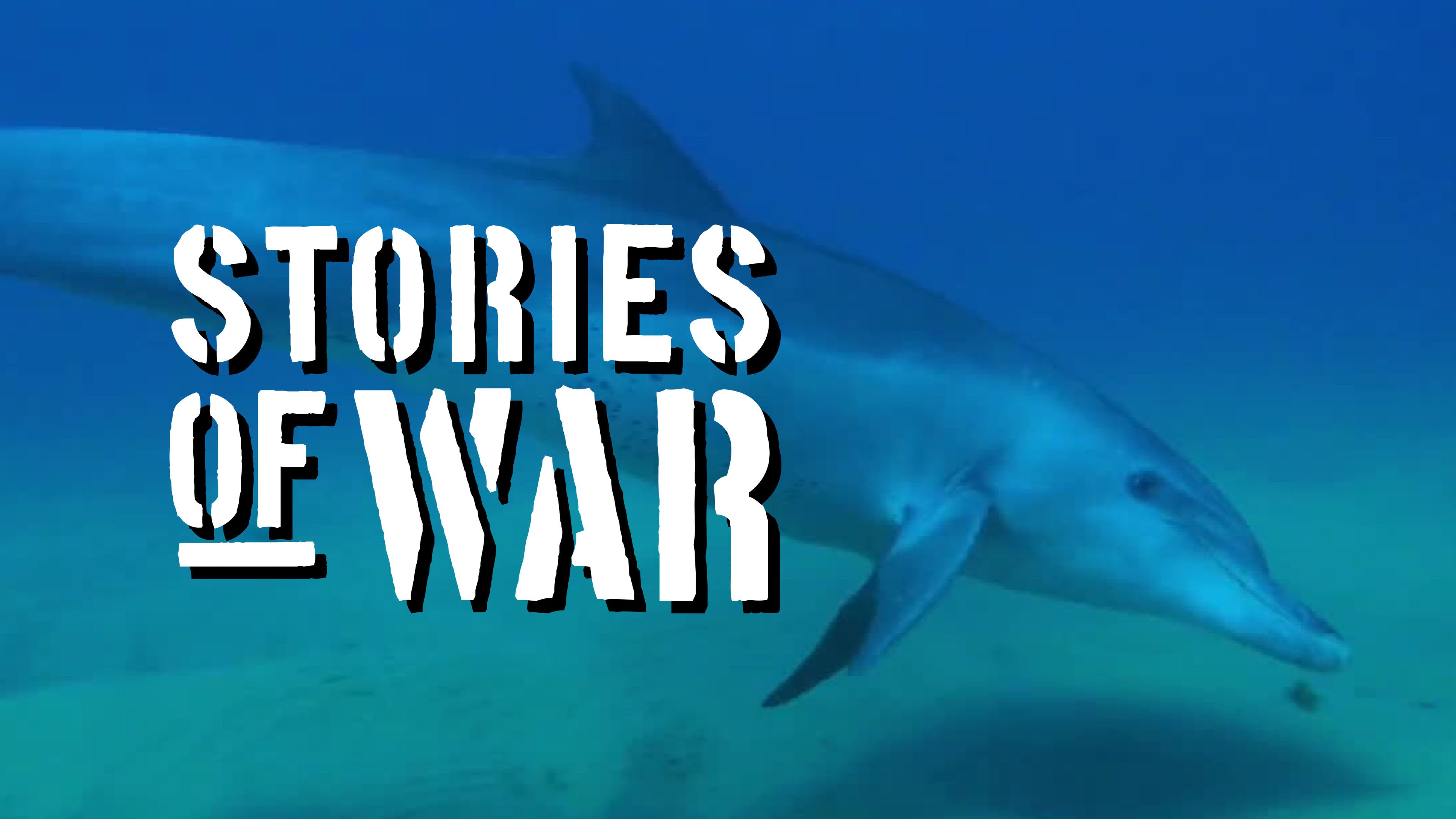 Dolphin Soldiers