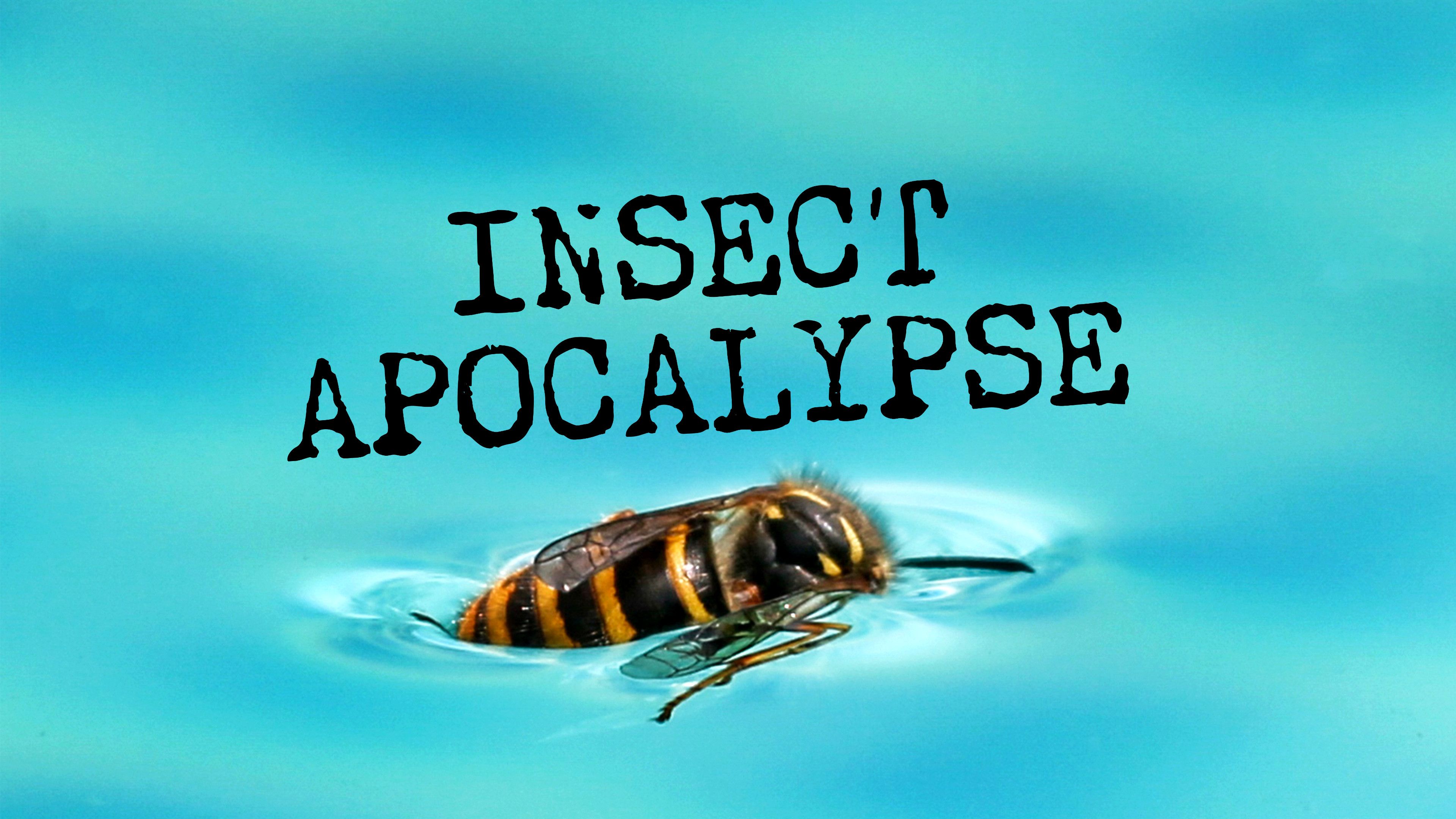 Insect Apocalypse