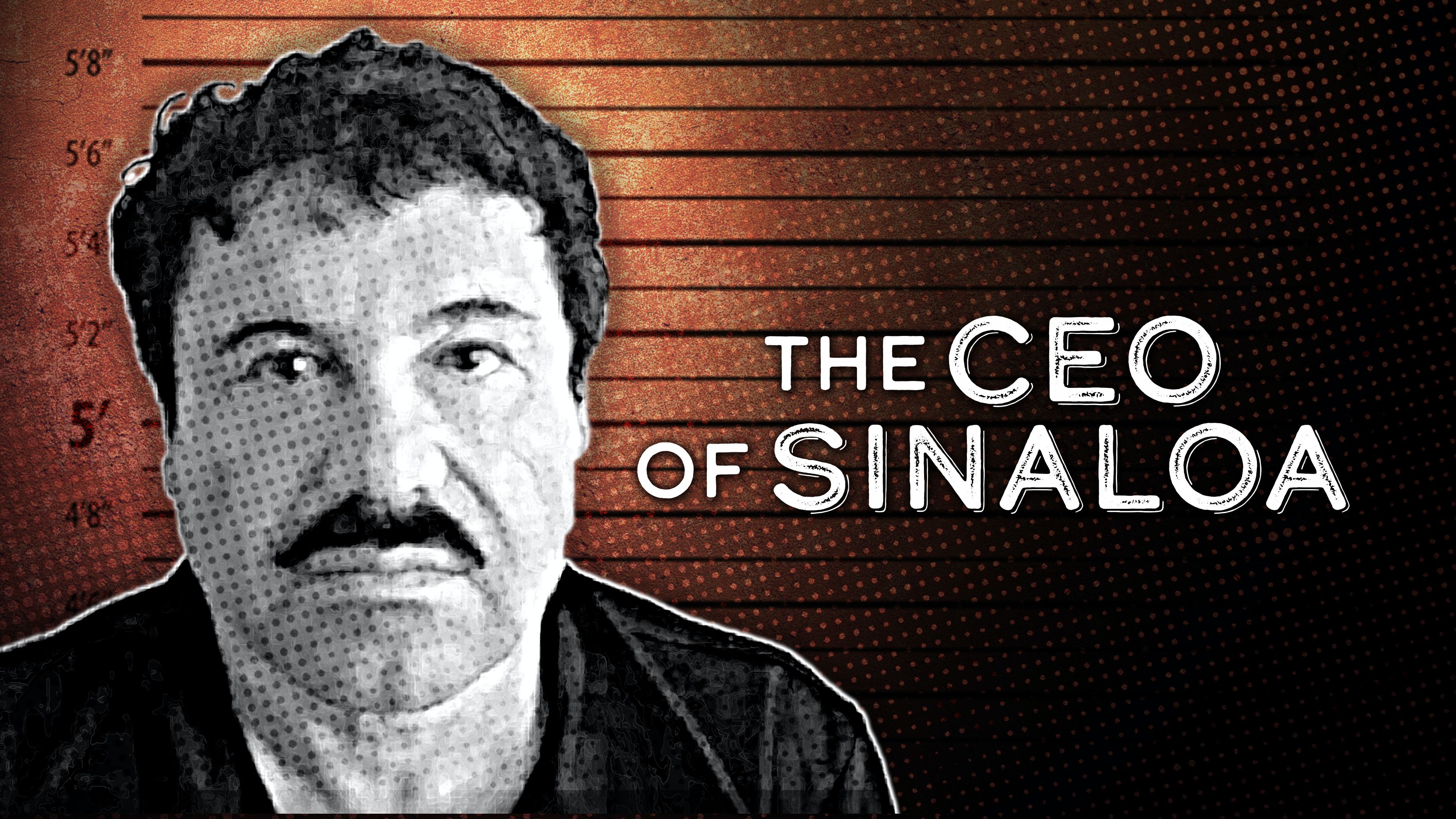 CEO of Sinaloa