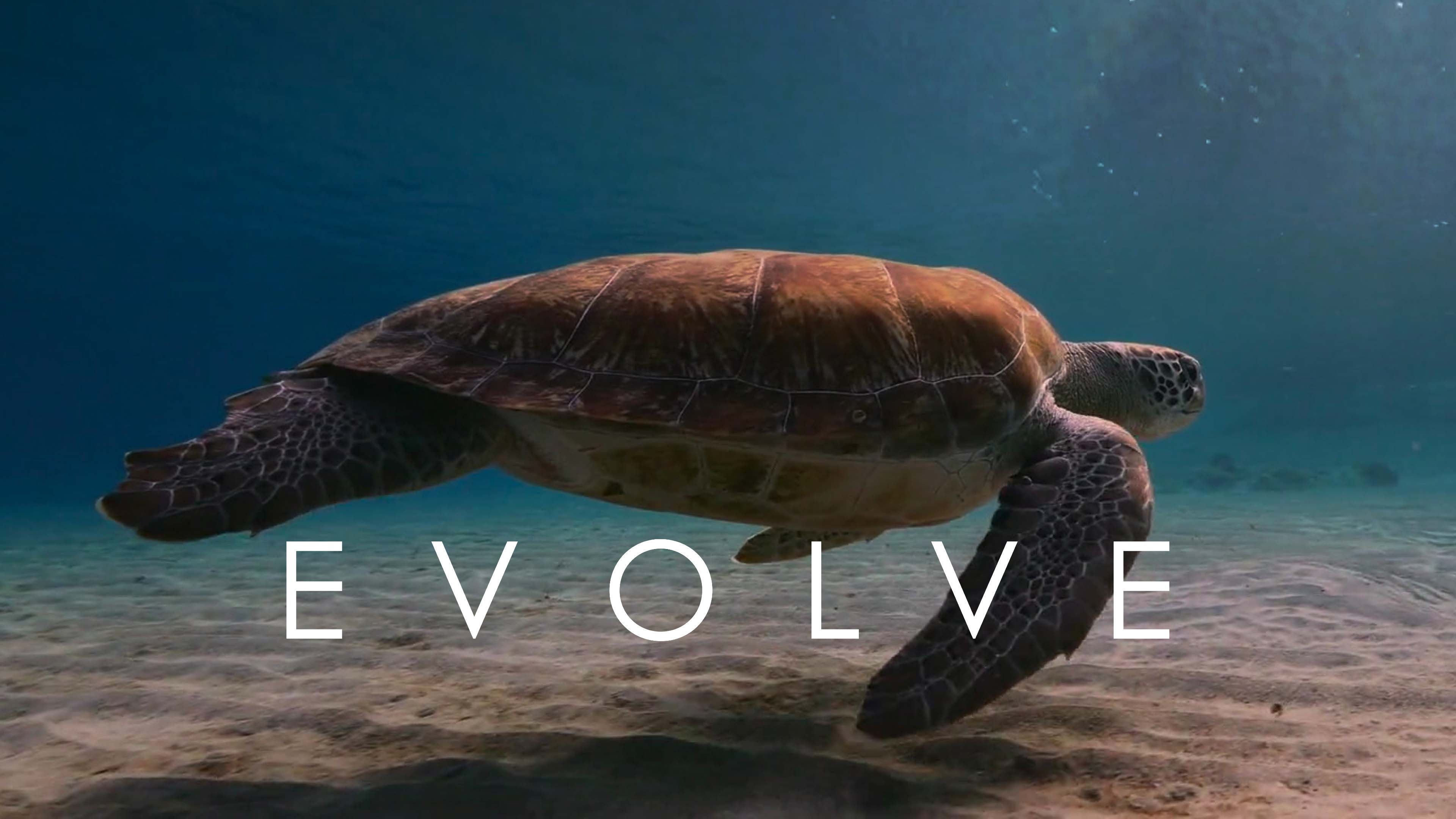 RESTORE