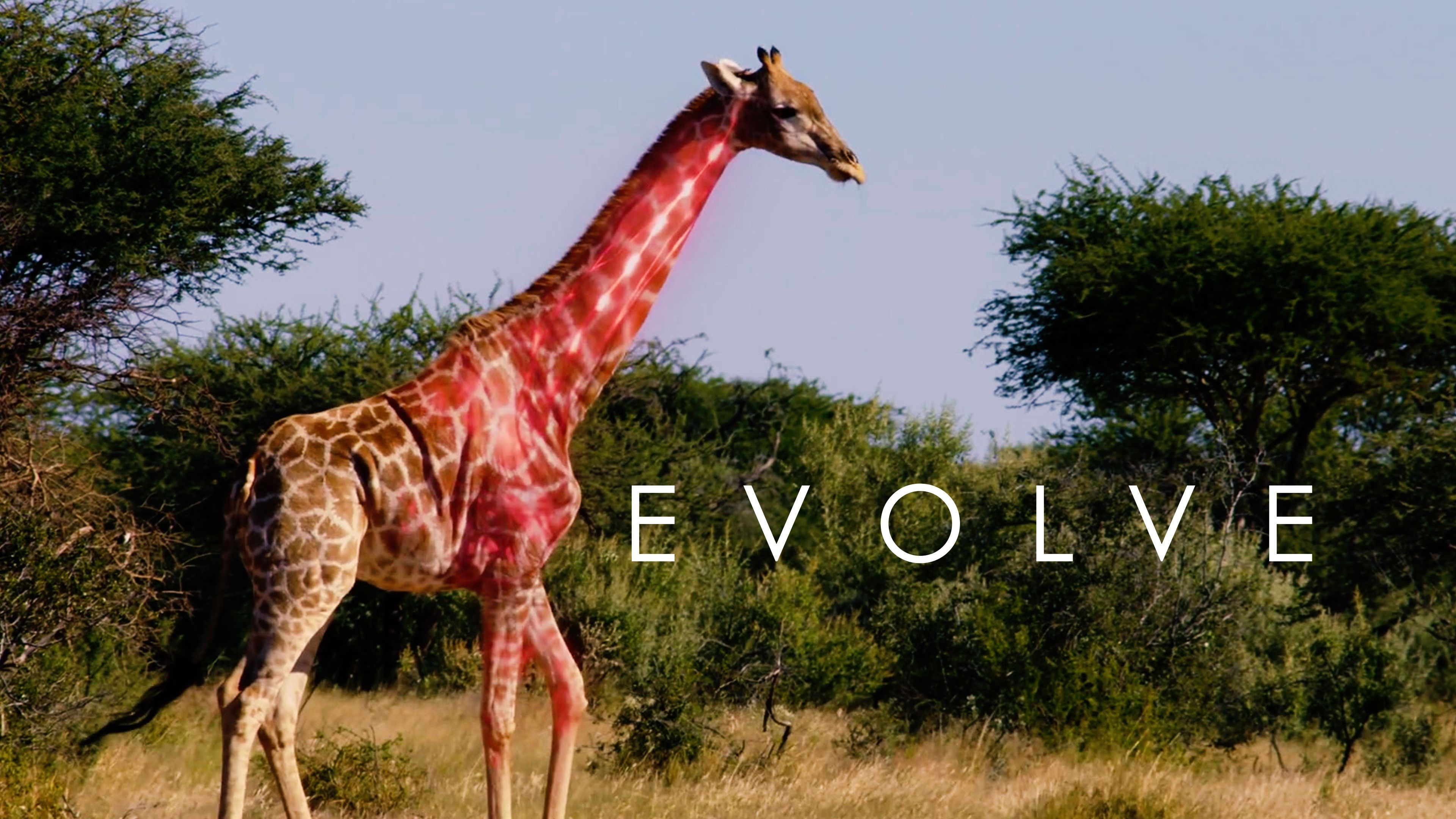 EXPLORE