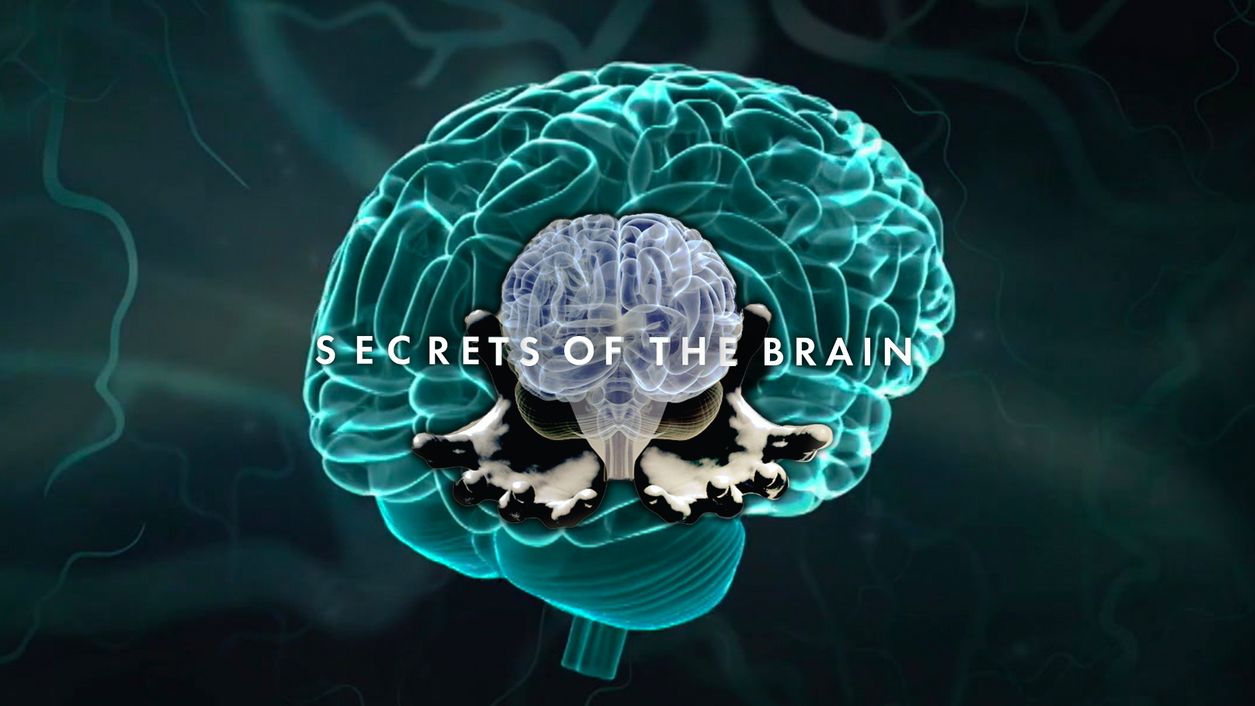 Curiosity Stream - Secrets of the Brain (Season 2)