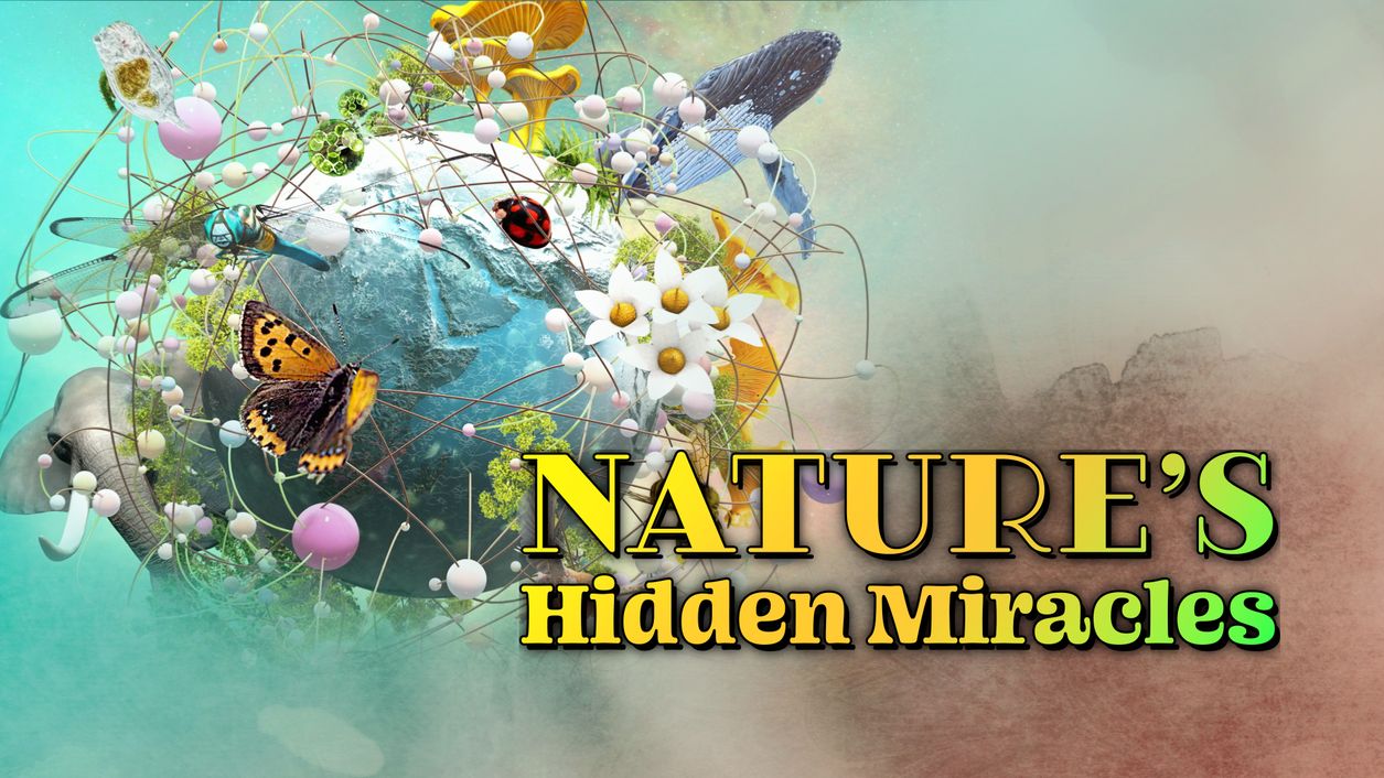 Curiosity Stream - Nature's Hidden Miracles