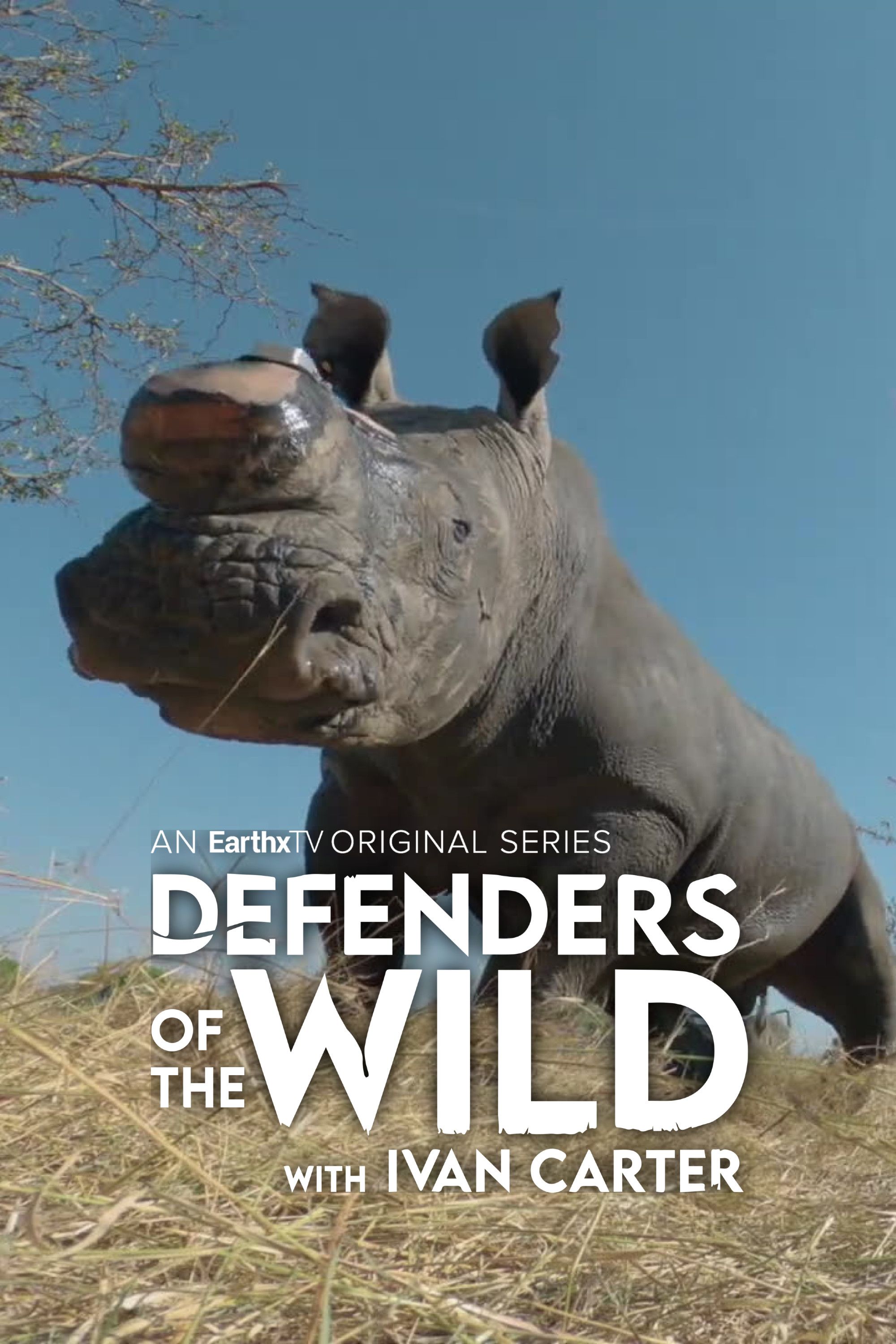 Curiosity Stream - Defenders of the Wild