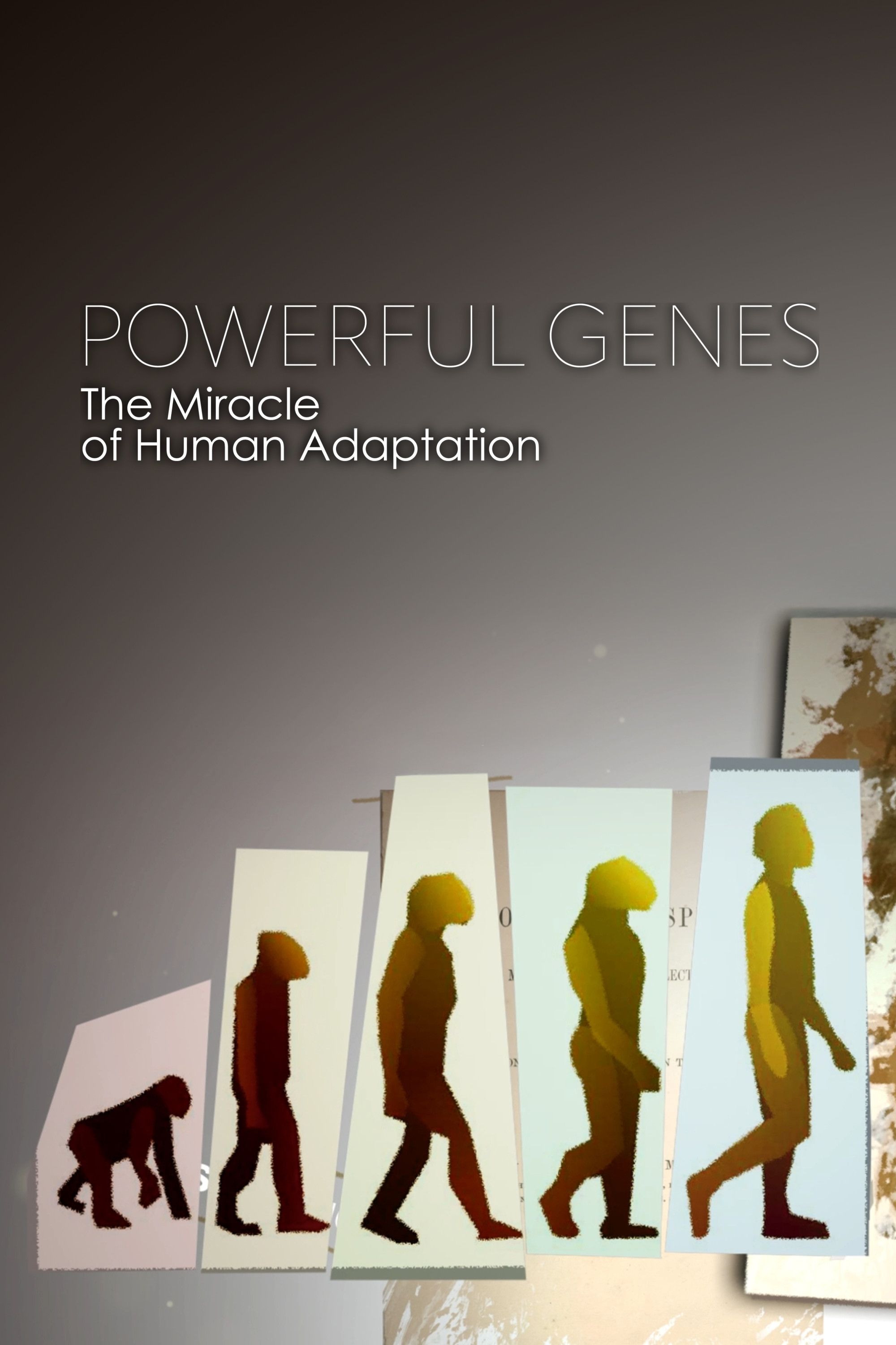 What Are Human Adaptations