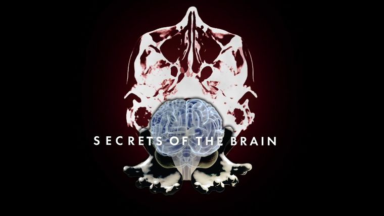 Secrets of the Brain