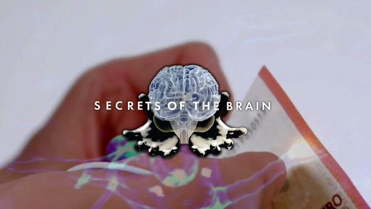 Curiosity Stream - Secrets of the Brain (Season 2)