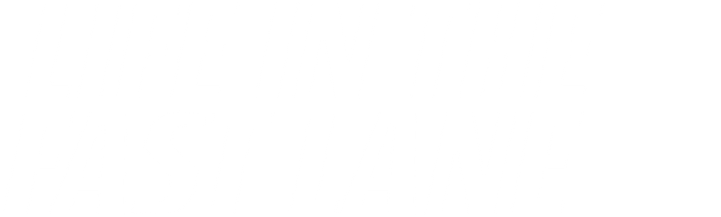 Life In The Fast Lane
