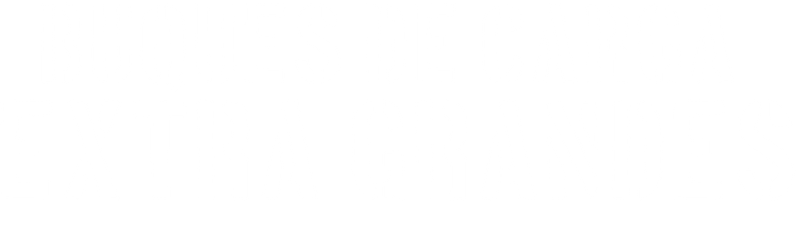 Buques de carga extra grandes. Mega buques franceses.