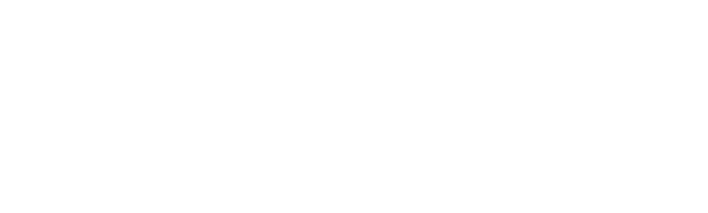 Runway of Thunder: The Story of Project Zelmal