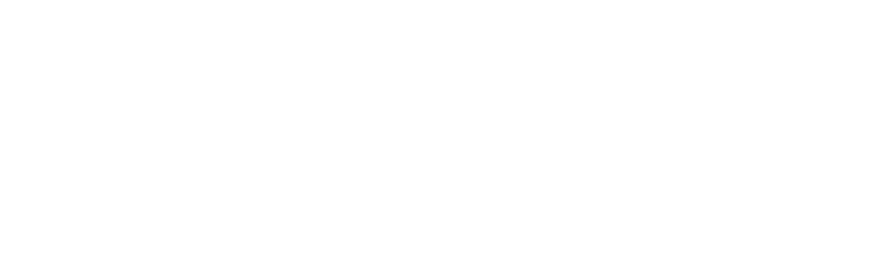 Why We Play