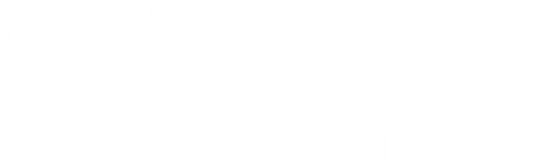 El Nacimiento del Internet