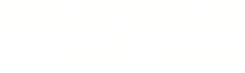 Big World In A Small Garden